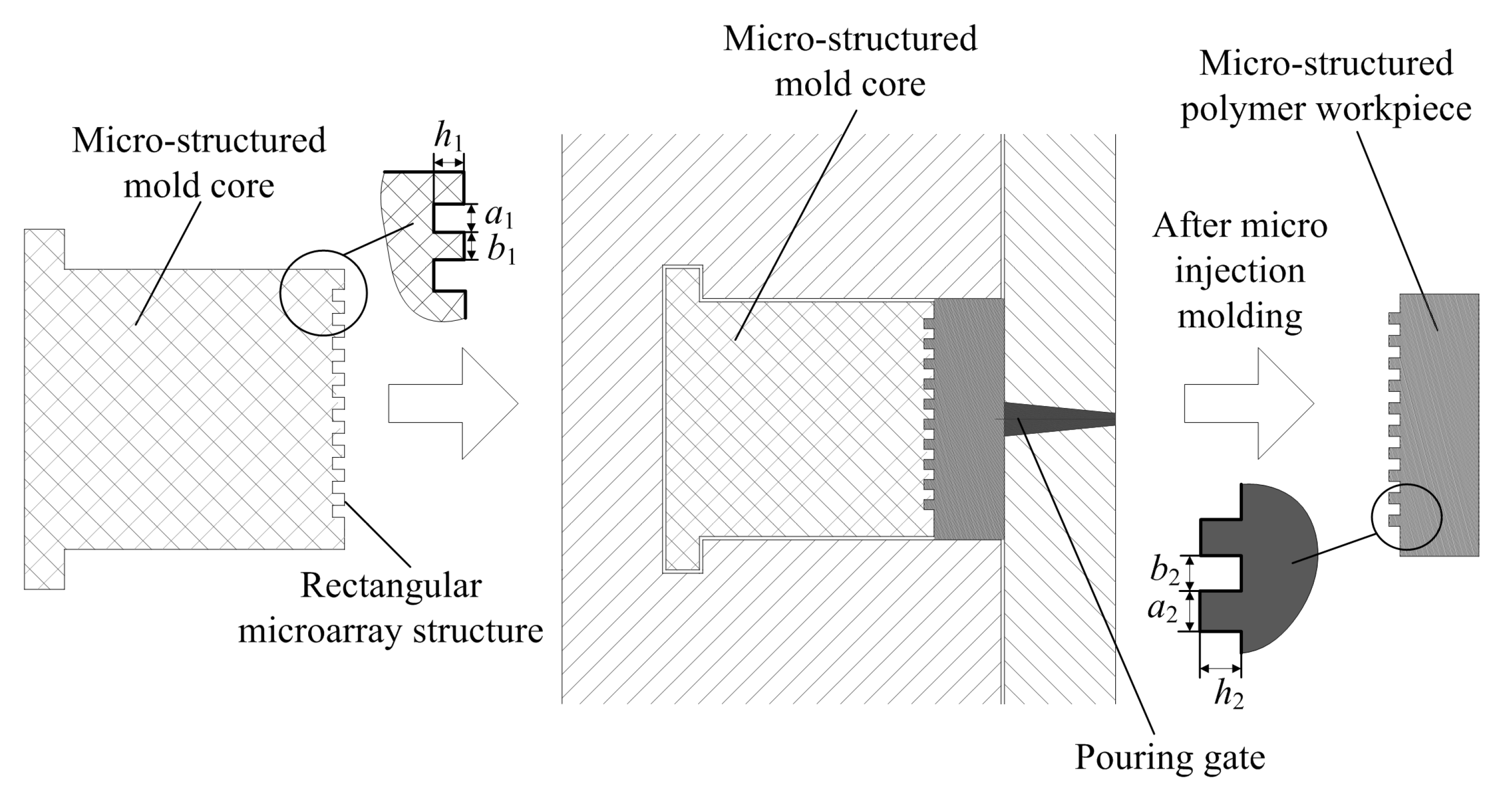 Polymers 11 01591 g003 Polymers 11 01591 g003