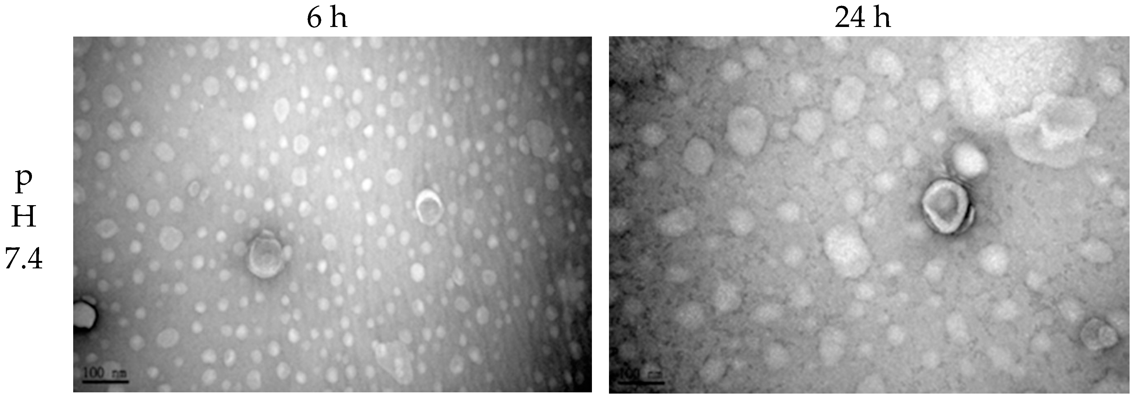 Polymers 11 01592 g002a