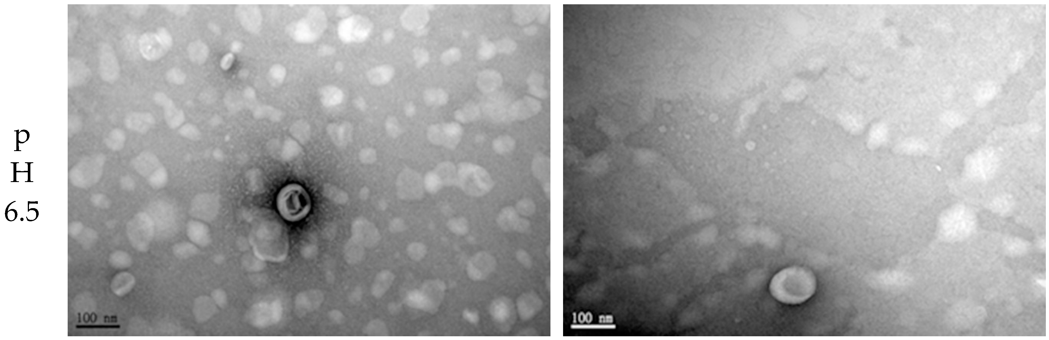 Polymers 11 01592 g002b