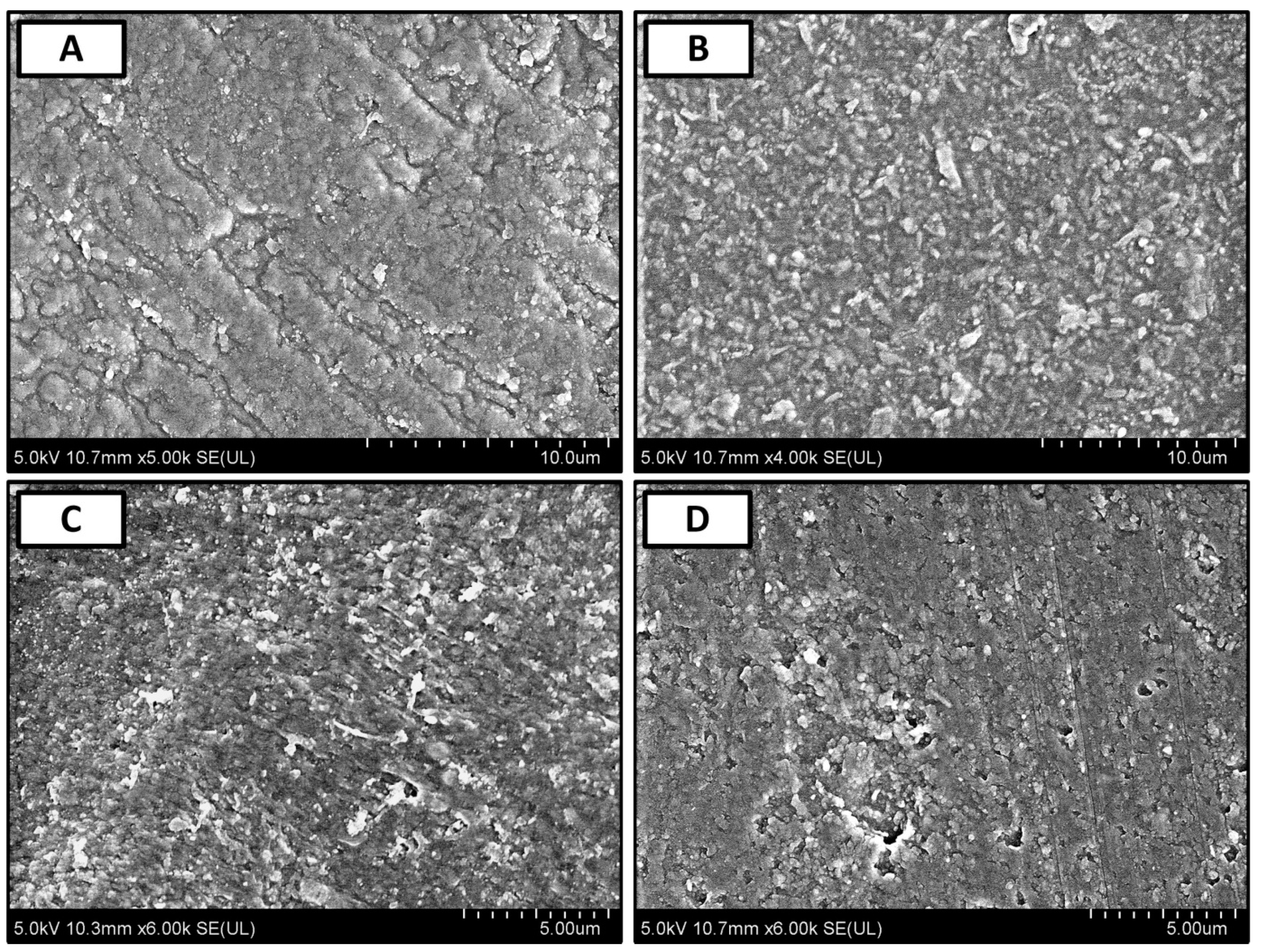 Polymers 11 01594 g004
