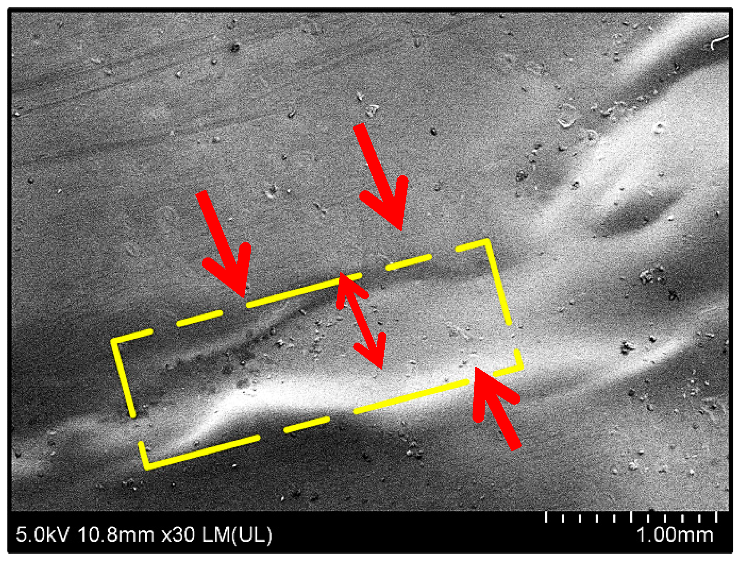 Polymers 11 01594 g007