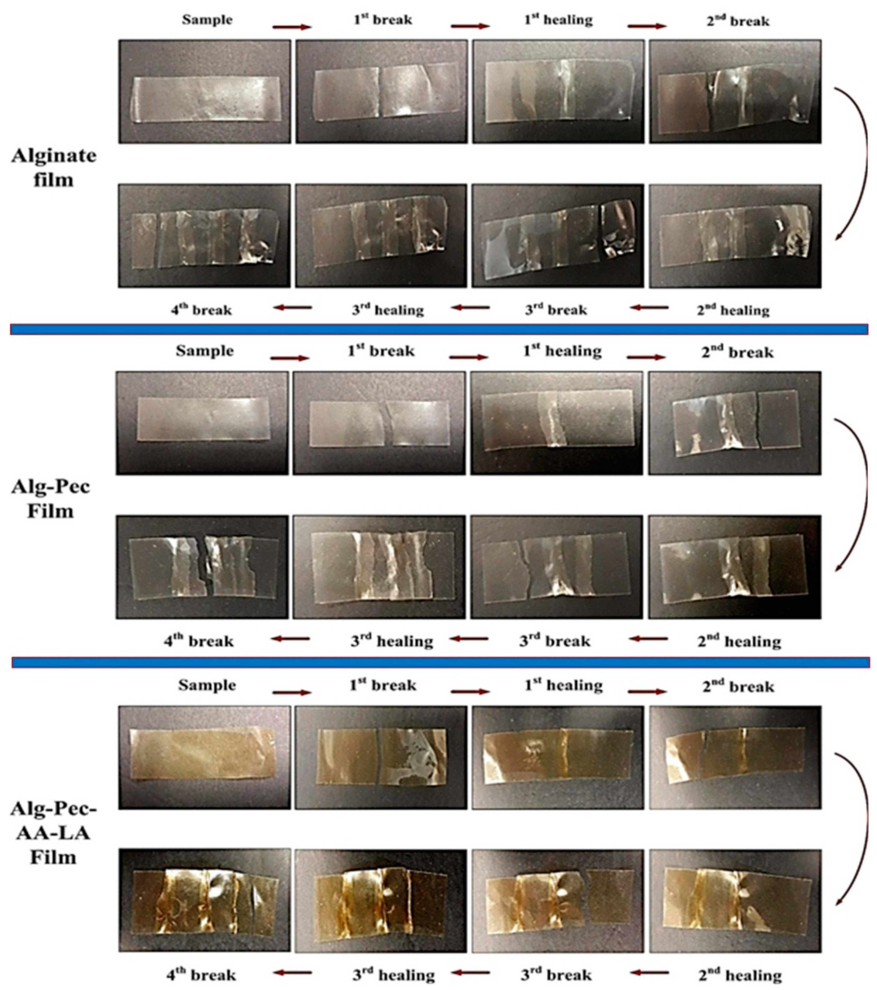 Polymers 11 01594 g008