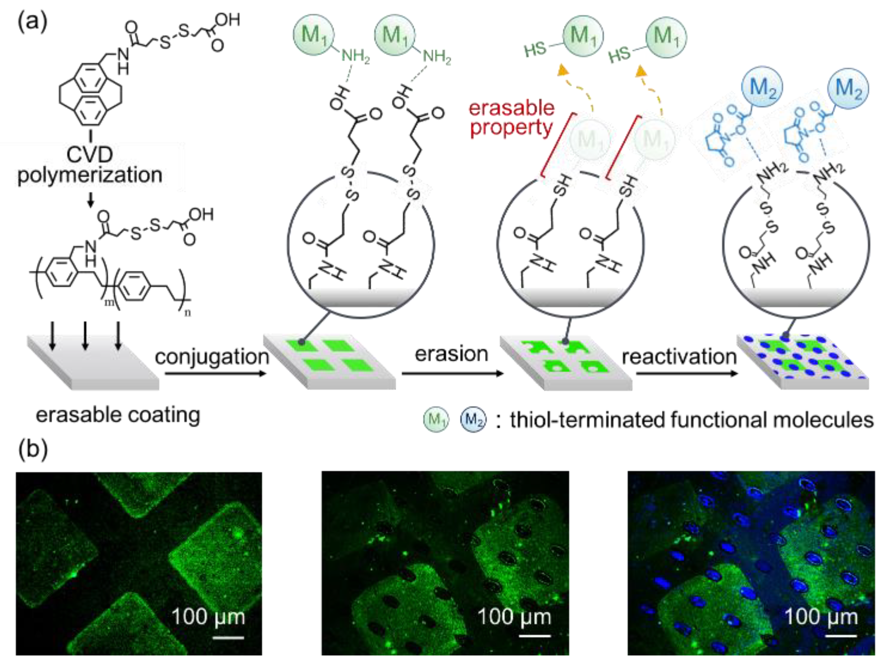 Polymers 11 01595 g002