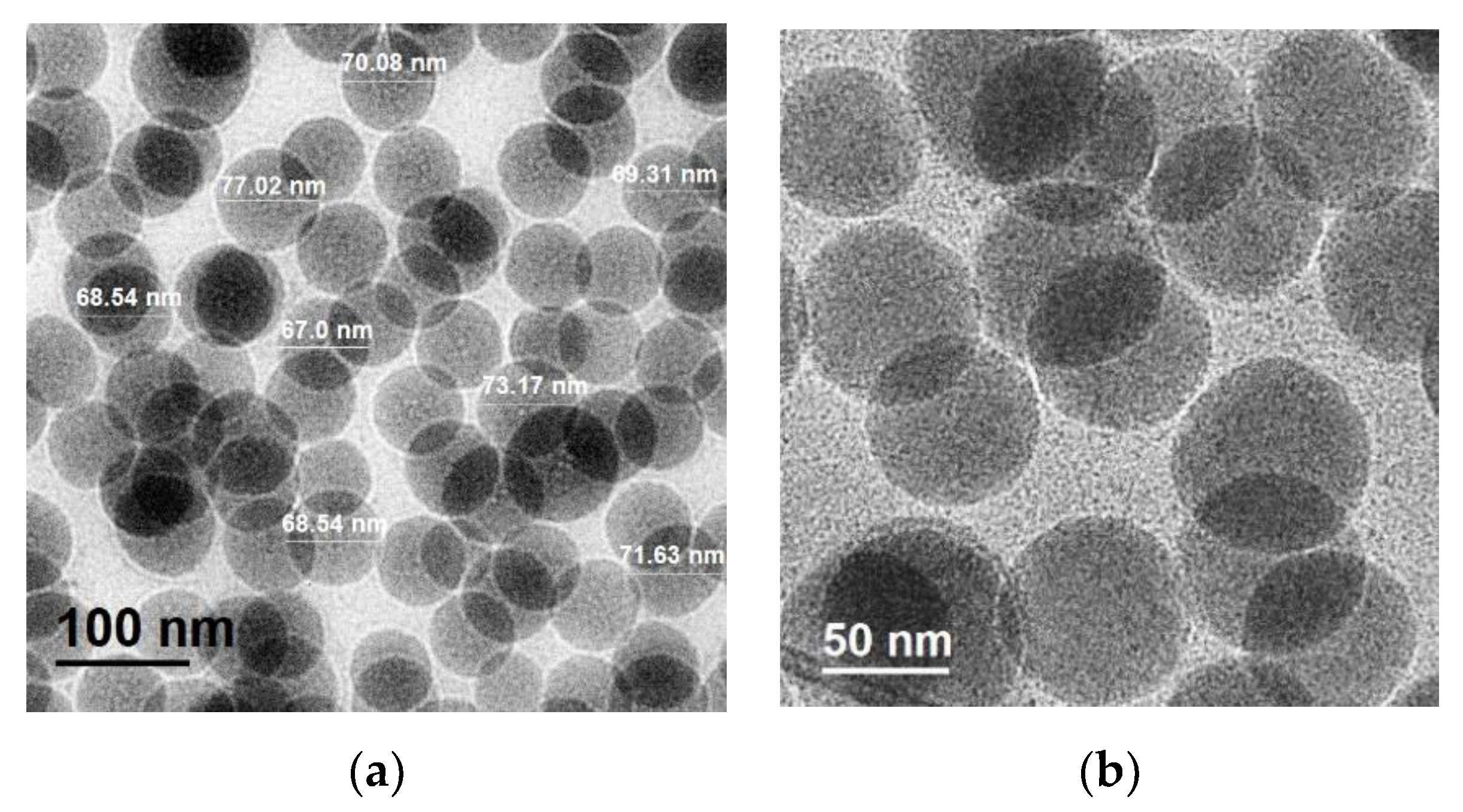 Polymers 11 01596 g010 Polymers 11 01596 g010