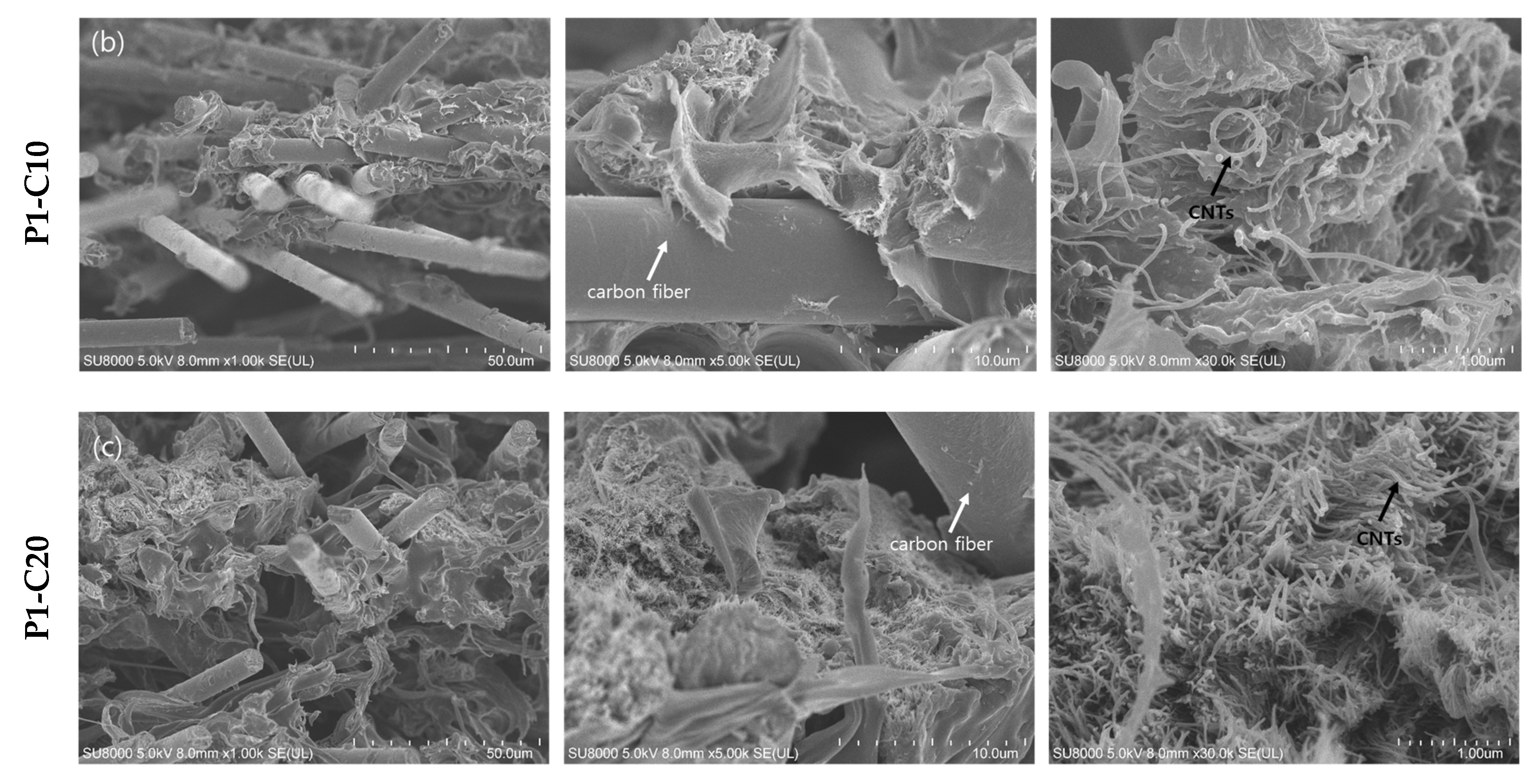 Polymers 11 01597 g003b