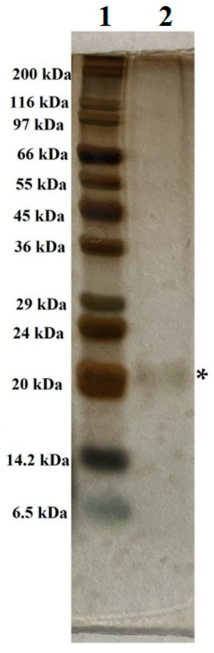 Polymers 11 01600 g003 Polymers 11 01600 g003