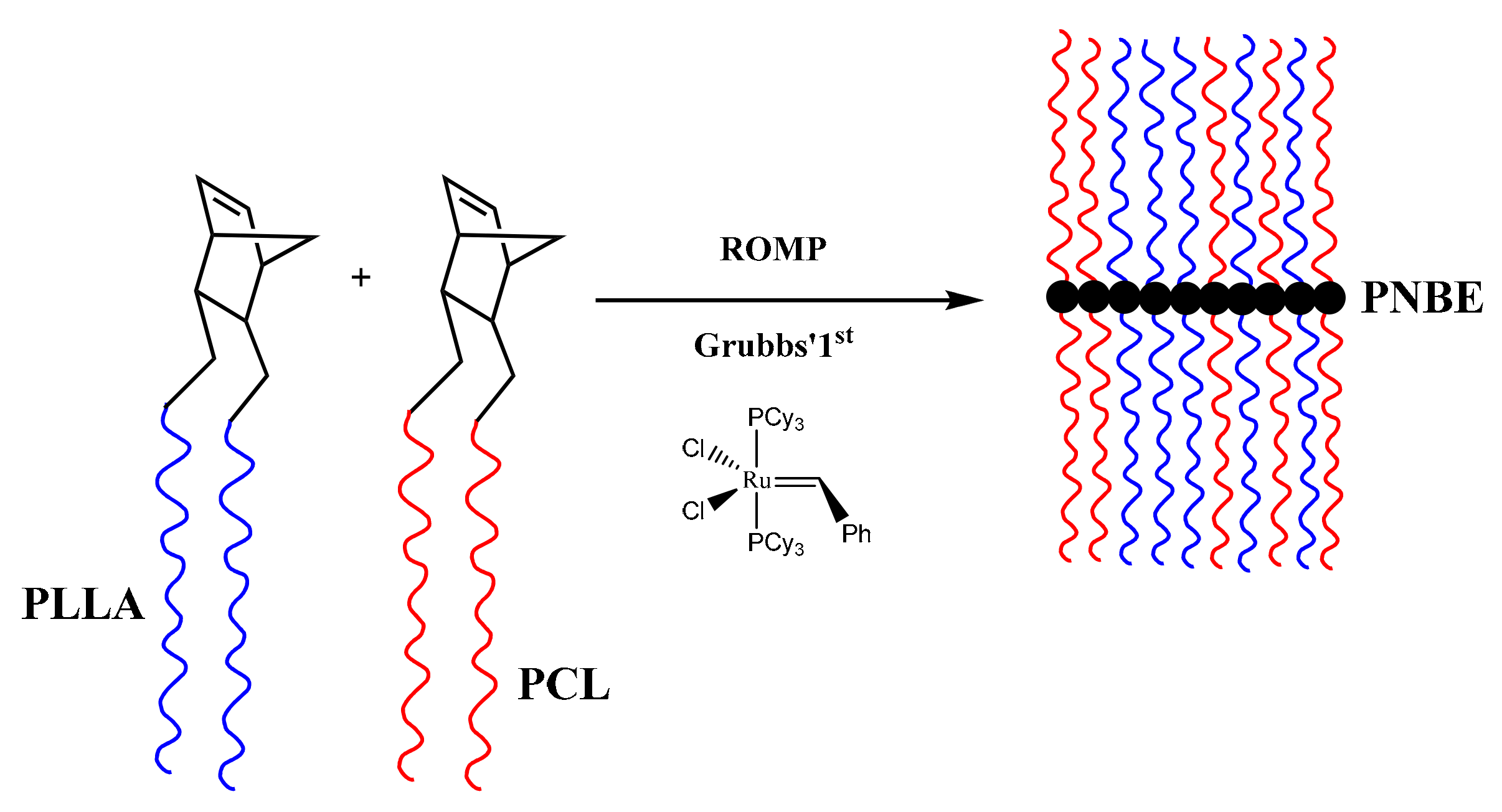 Polymers 11 01606 g009
