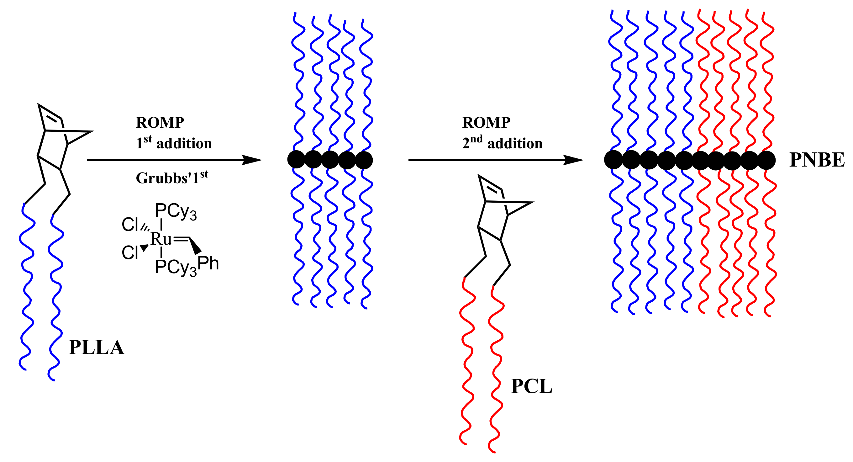 Polymers 11 01606 g011