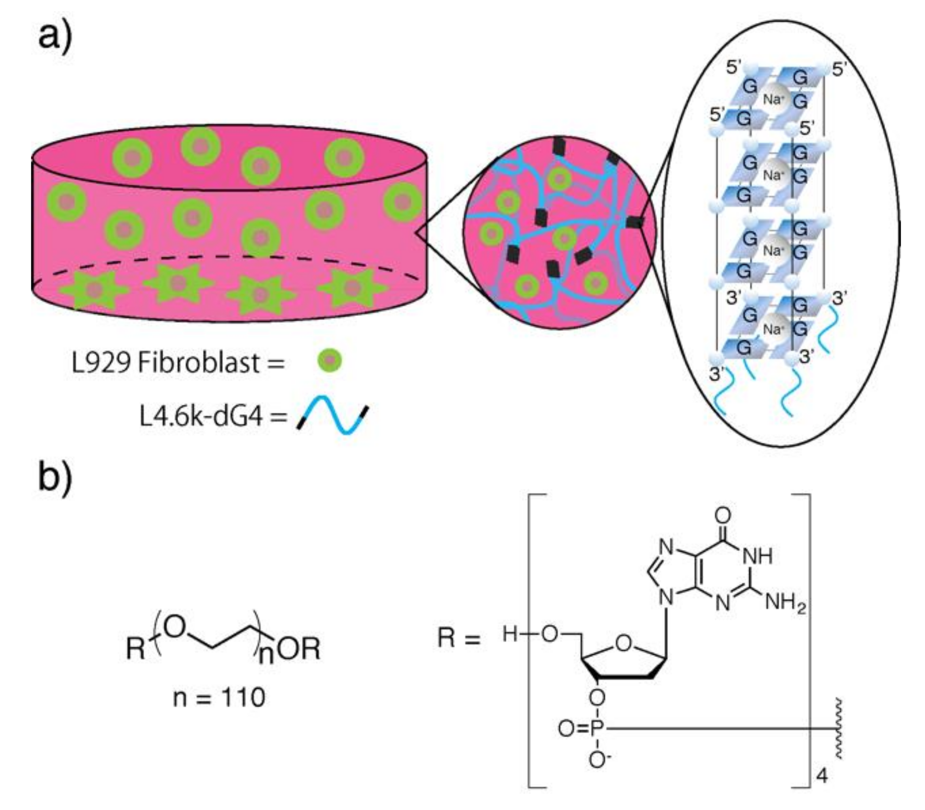 Polymers 11 01607 g001