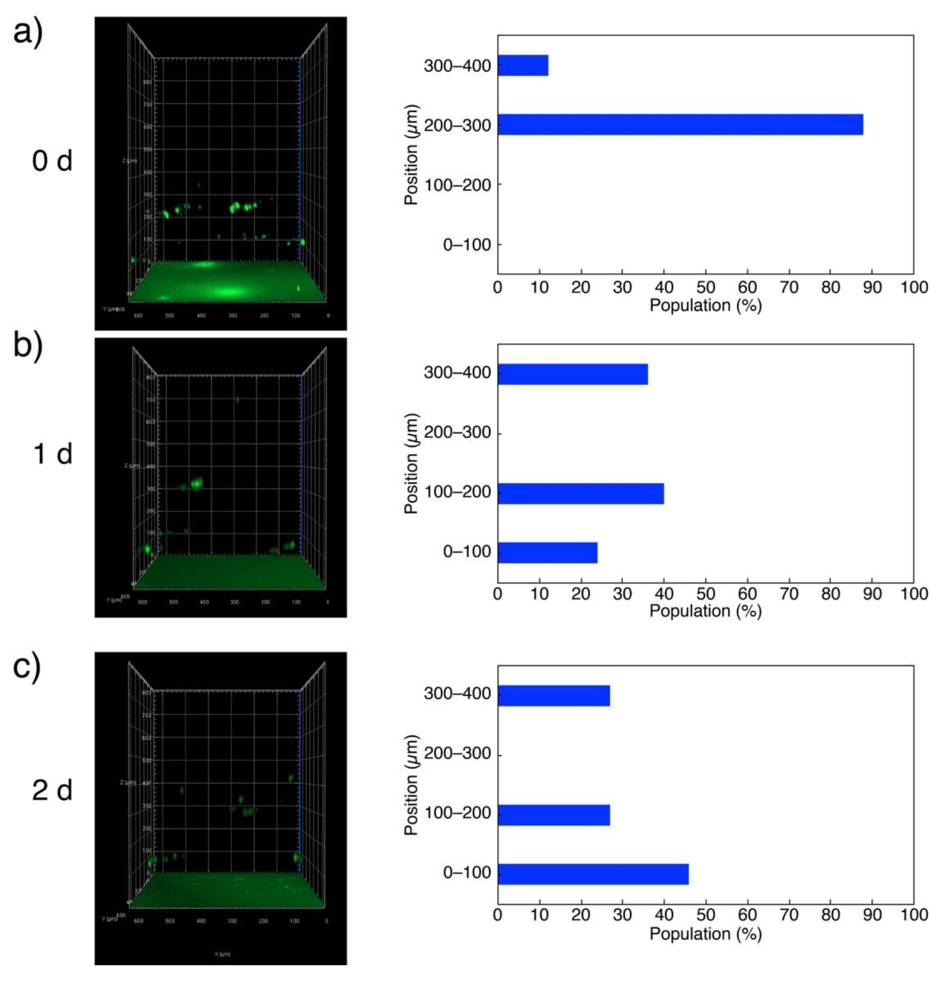 Polymers 11 01607 g004