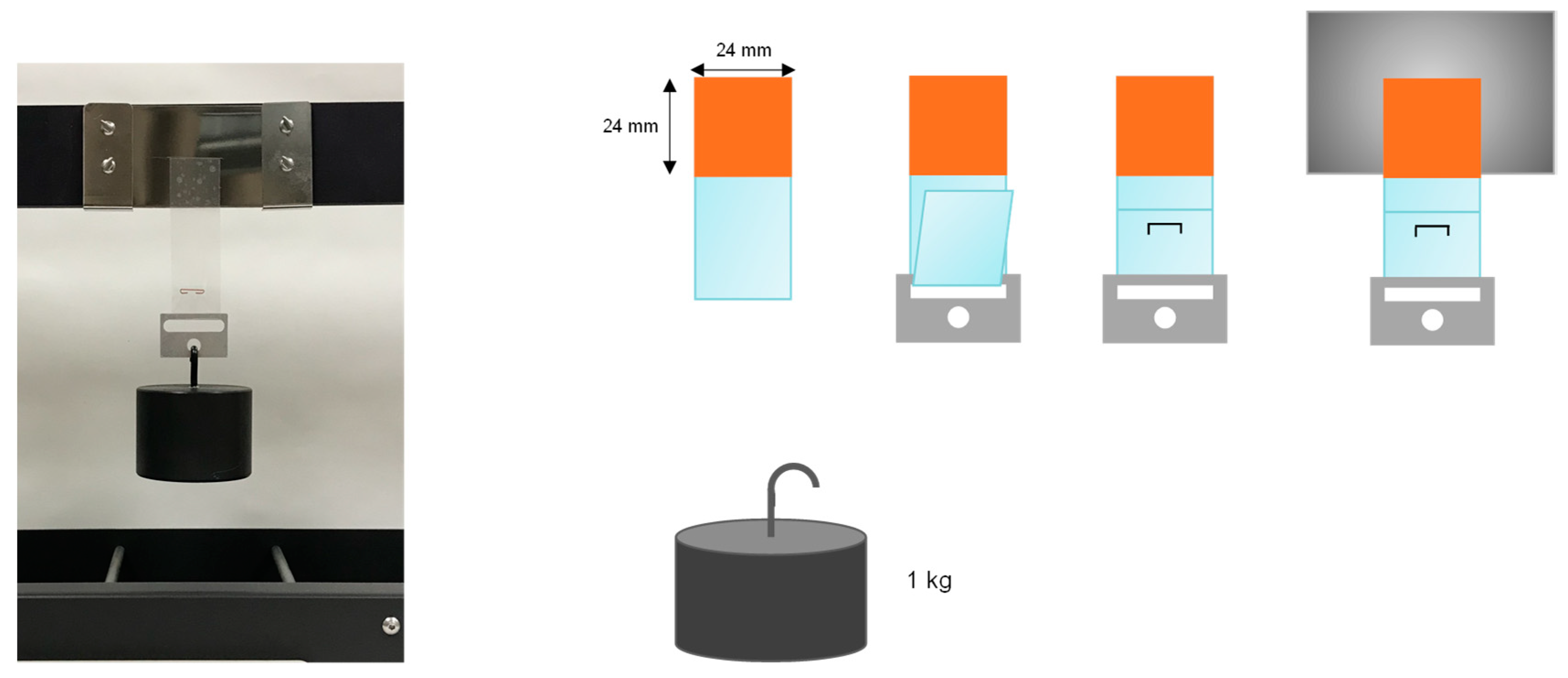 Polymers 11 01608 g003 Polymers 11 01608 g003