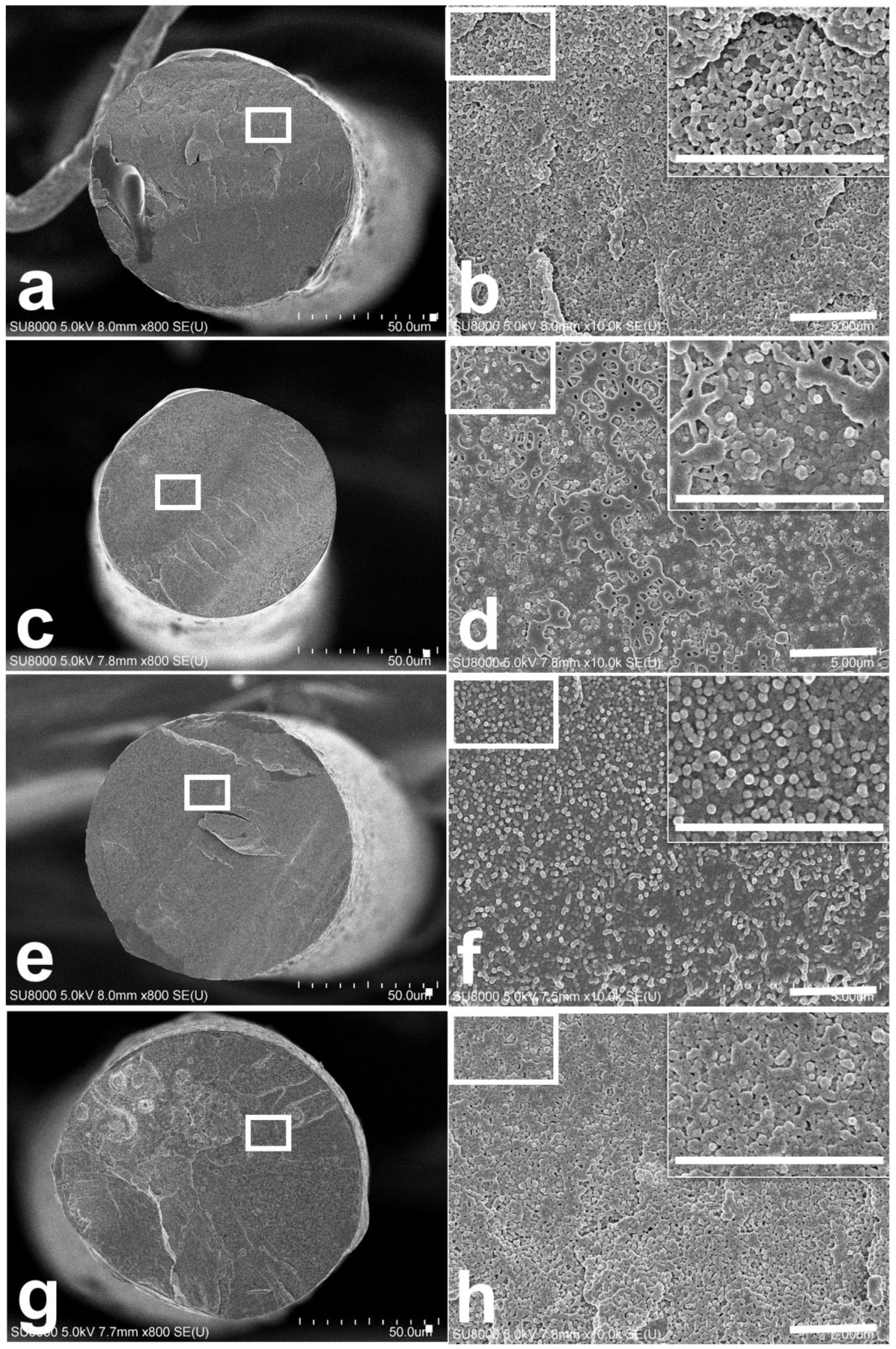 Polymers 11 01611 g005 550