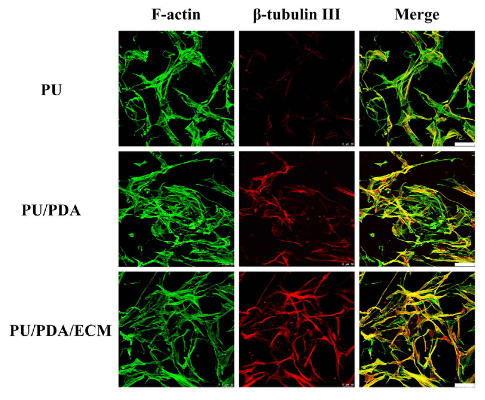 Polymers 11 01612 g010 Polymers 11 01612 g010