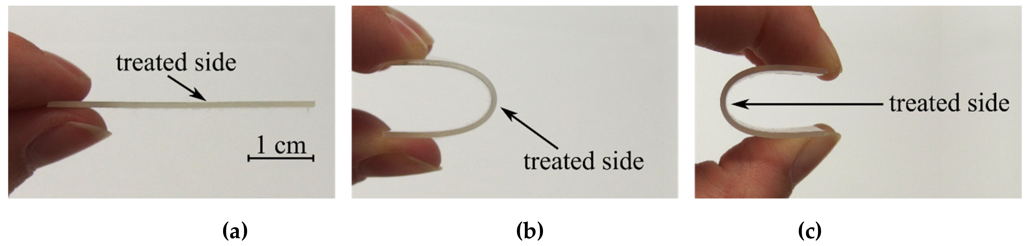 Polymers 11 01613 g002 Polymers 11 01613 g002