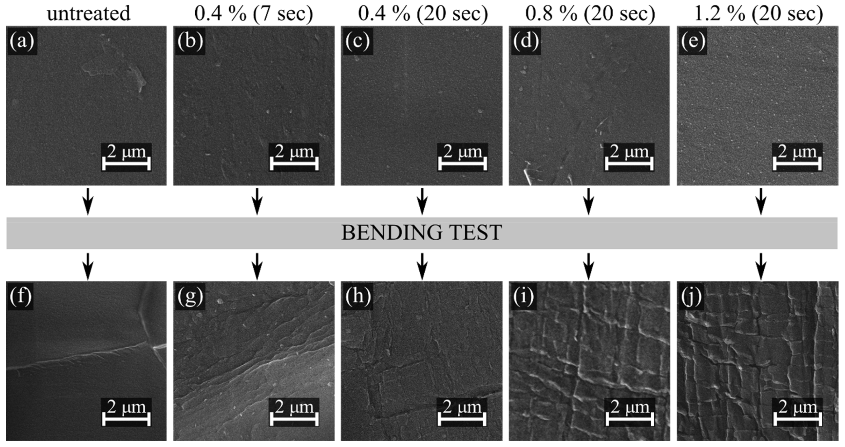 Polymers 11 01613 g008 Polymers 11 01613 g008