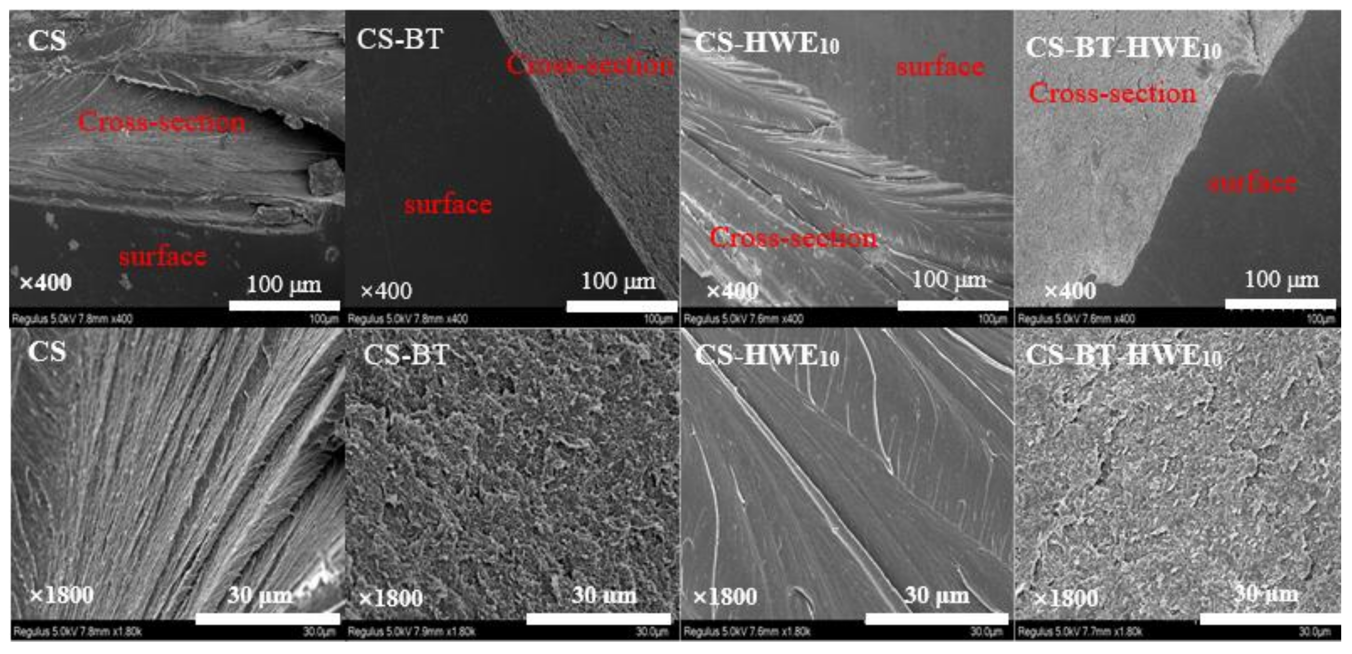 Polymers 11 01614 g004 Polymers 11 01614 g004