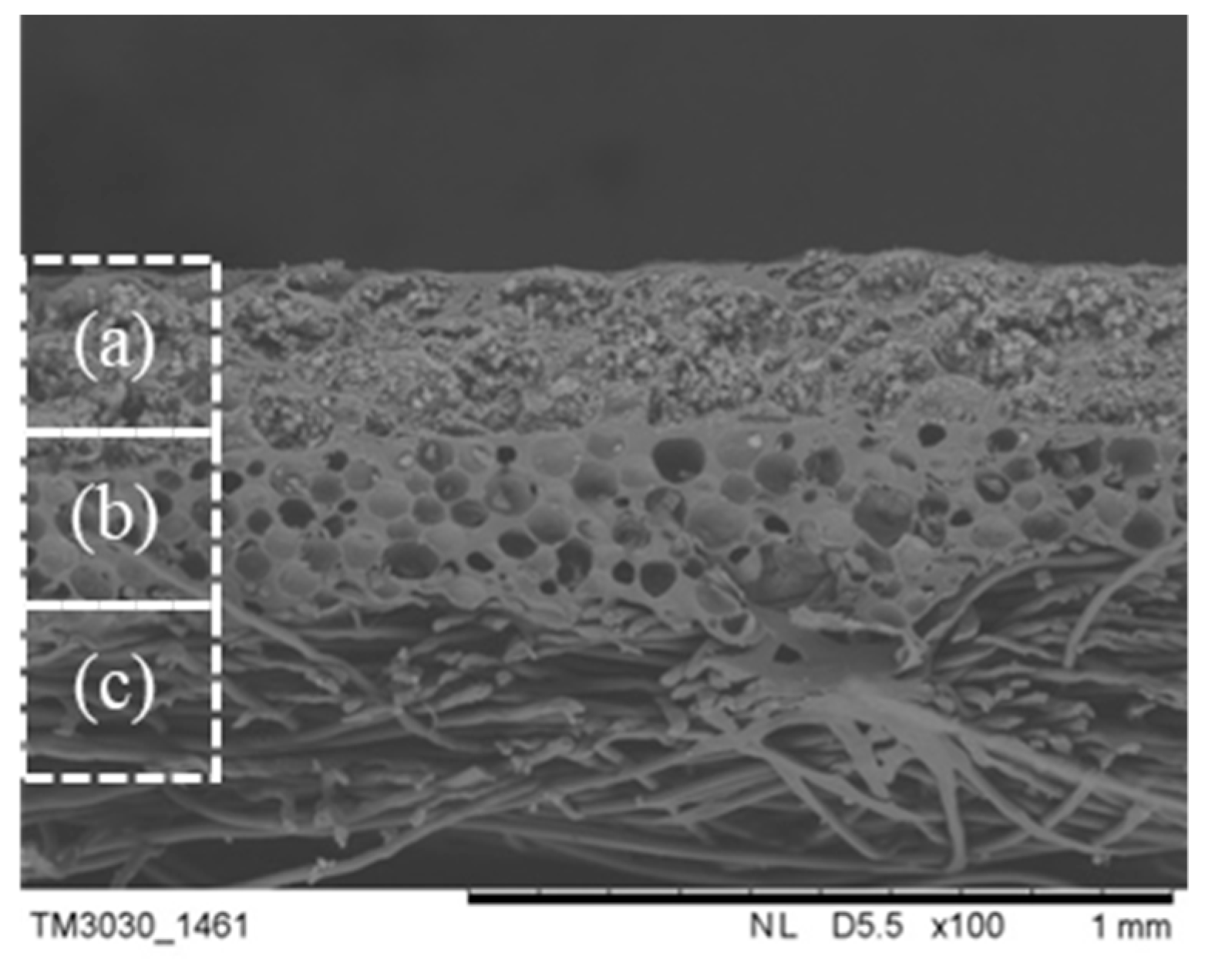 Polymers 11 01616 g008 Polymers 11 01616 g008