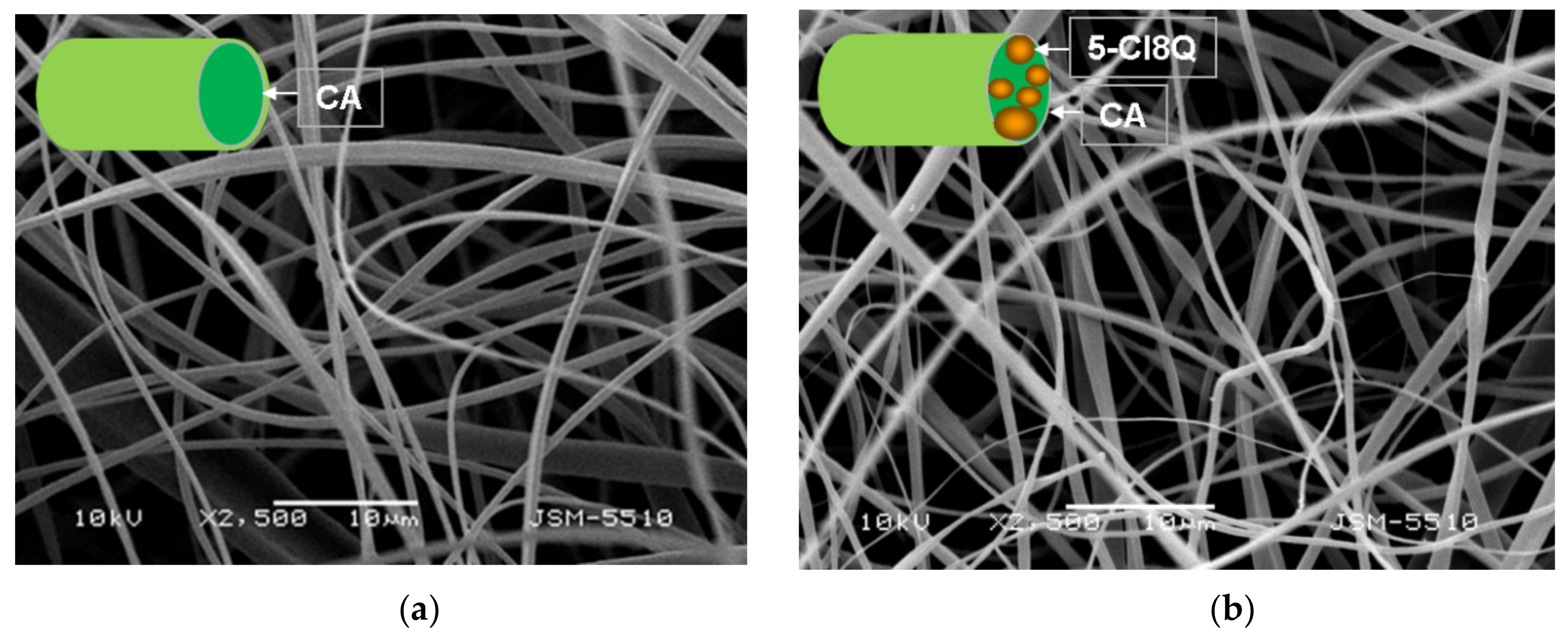 Polymers 11 01617 g001a