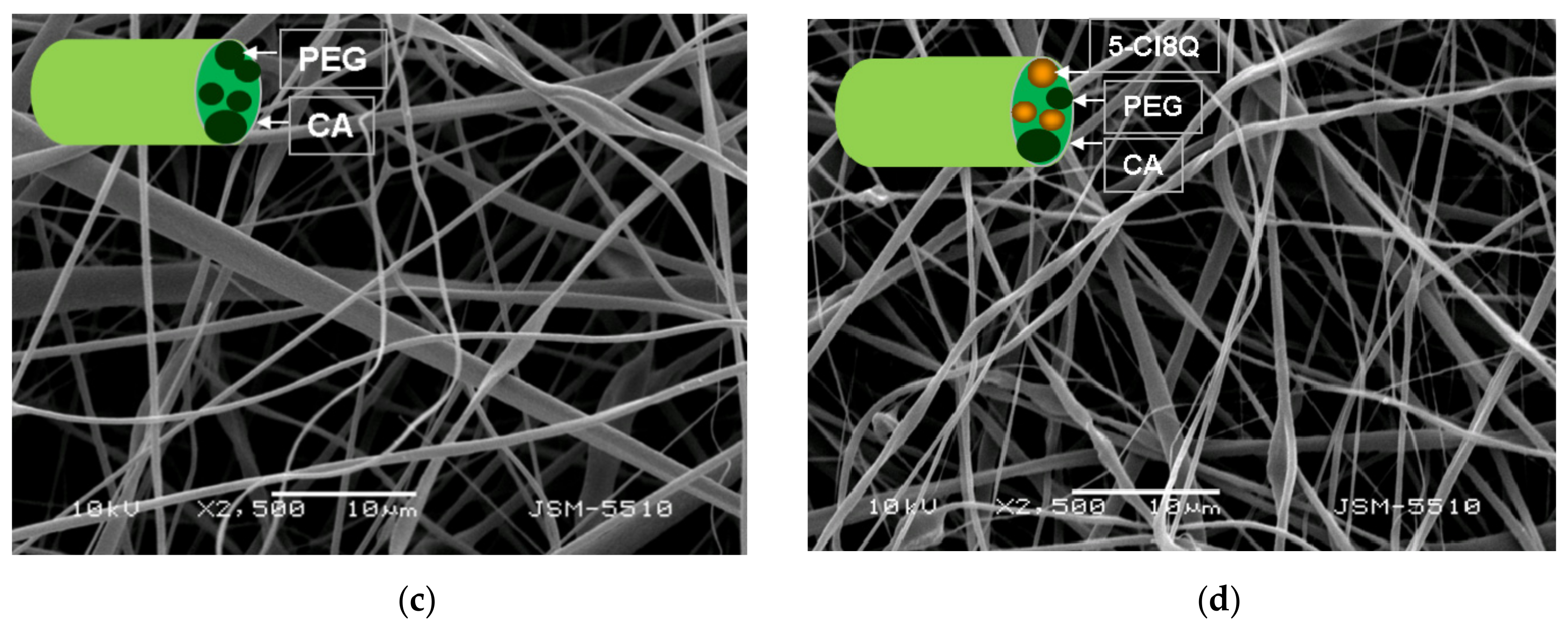 Polymers 11 01617 g001b