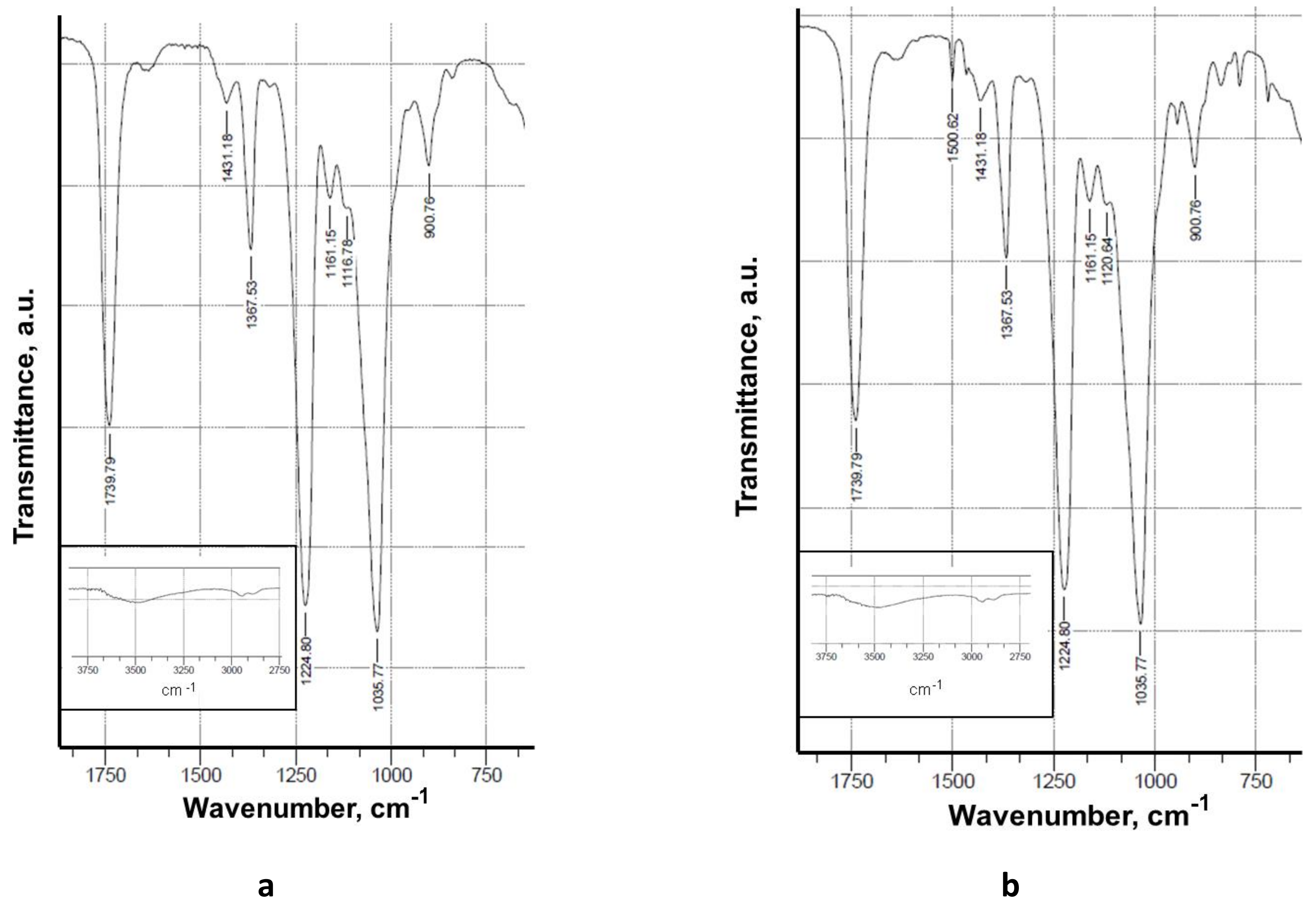 Polymers 11 01617 g002