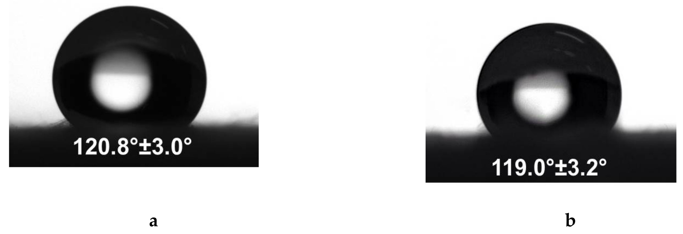 Polymers 11 01617 g003a