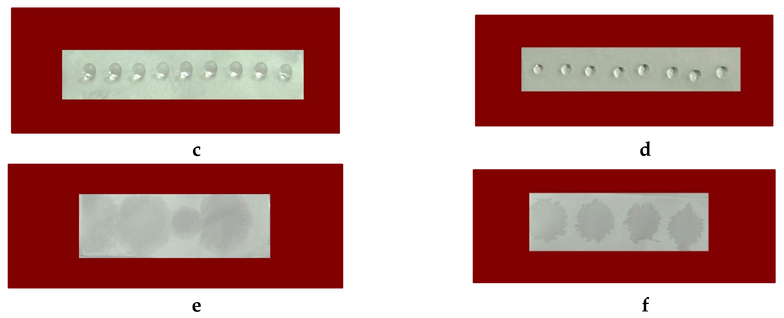 Polymers 11 01617 g003b