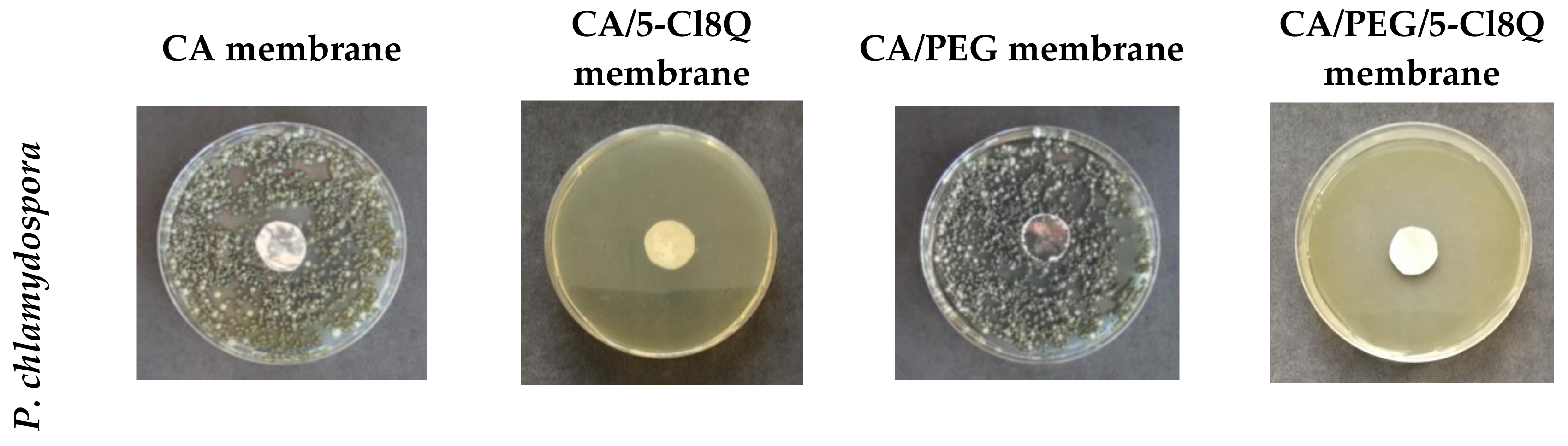 Polymers 11 01617 g006a