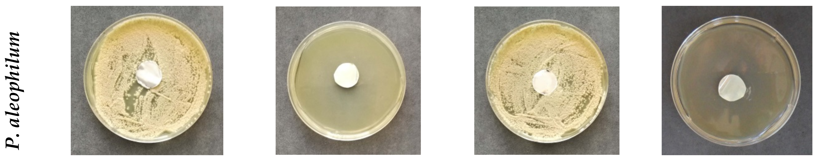 Polymers 11 01617 g006b