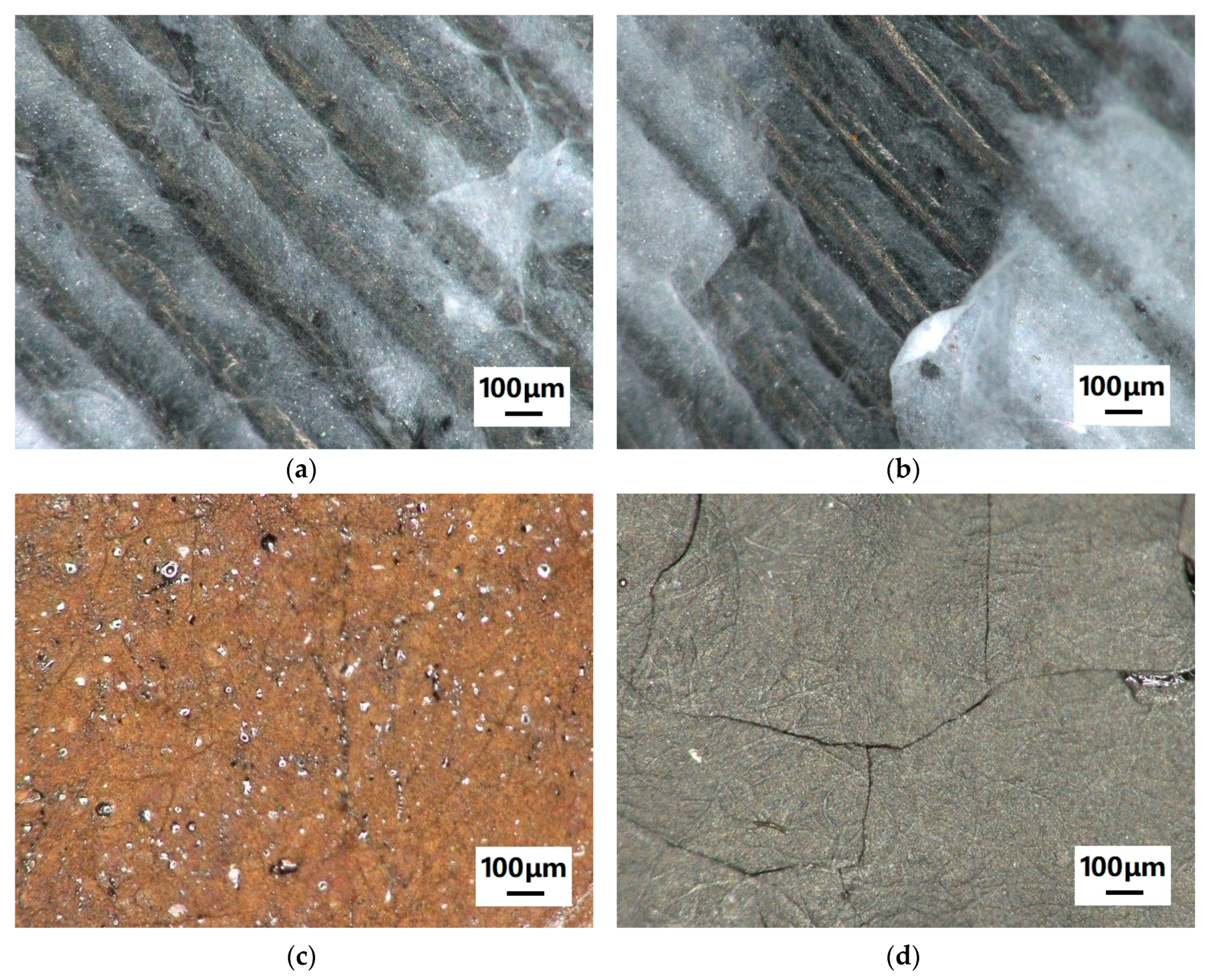 Polymers 11 01618 g005