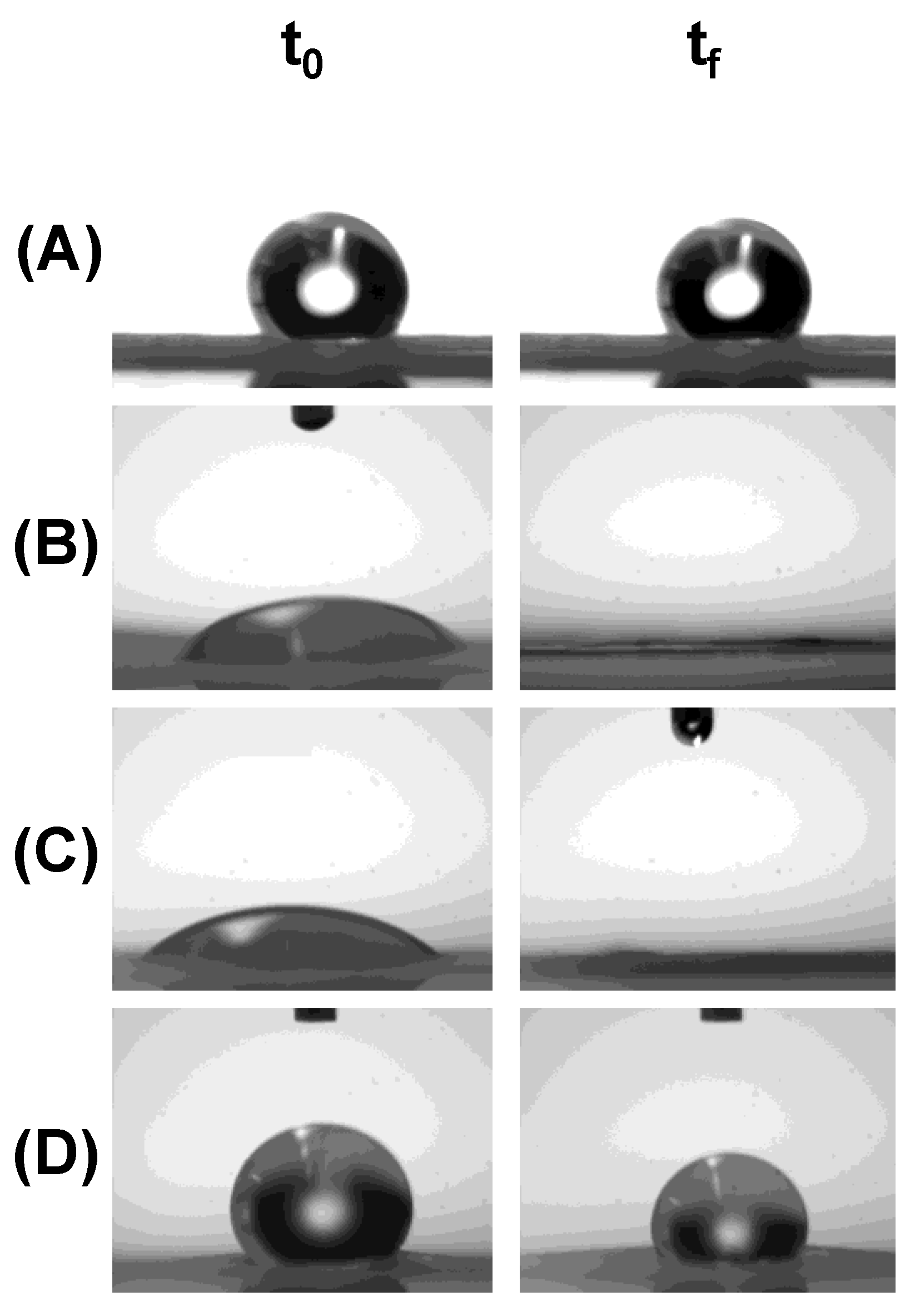 Polymers 11 01621 g003 Polymers 11 01621 g003