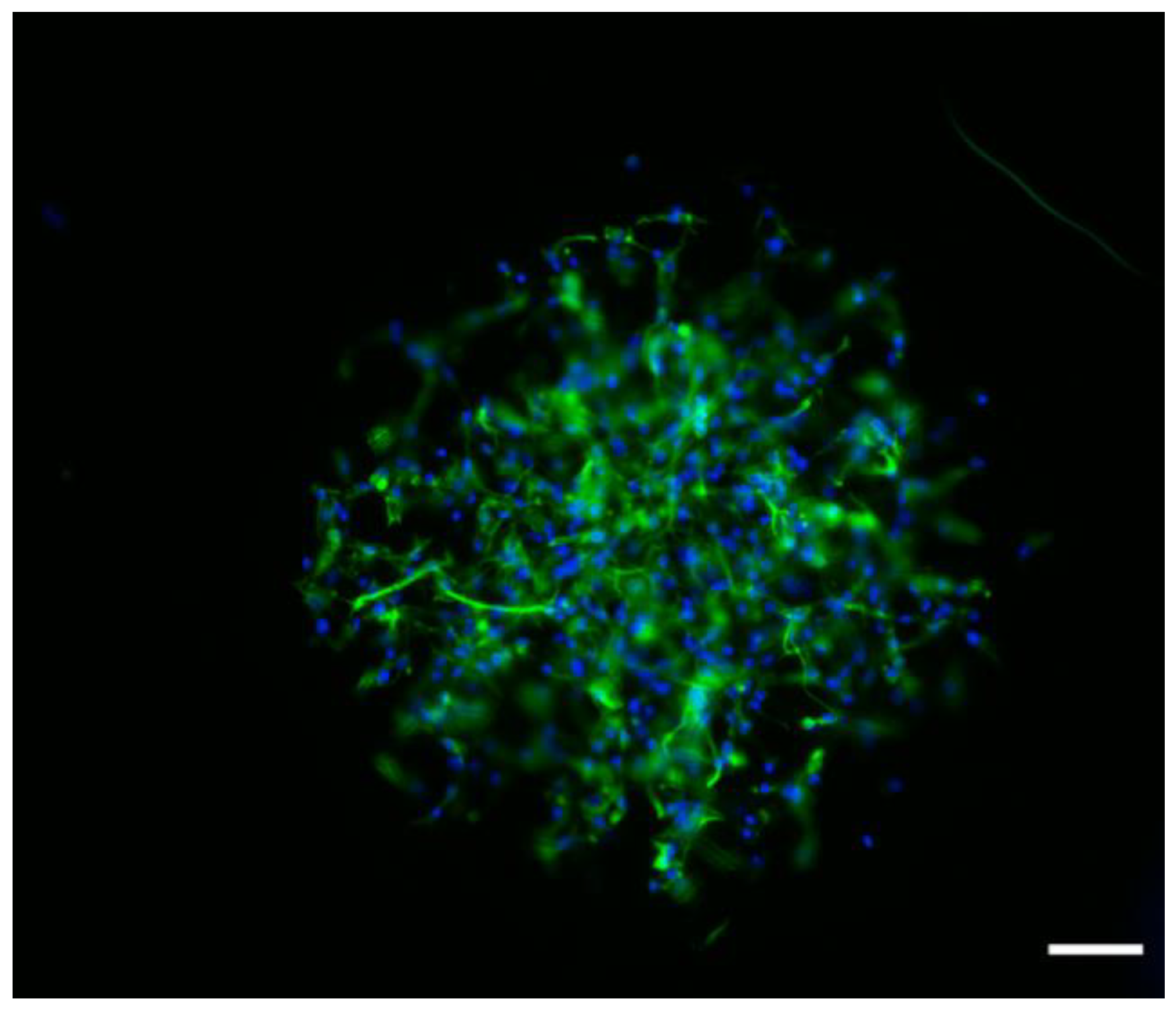 Polymers 11 01621 g007 Polymers 11 01621 g007