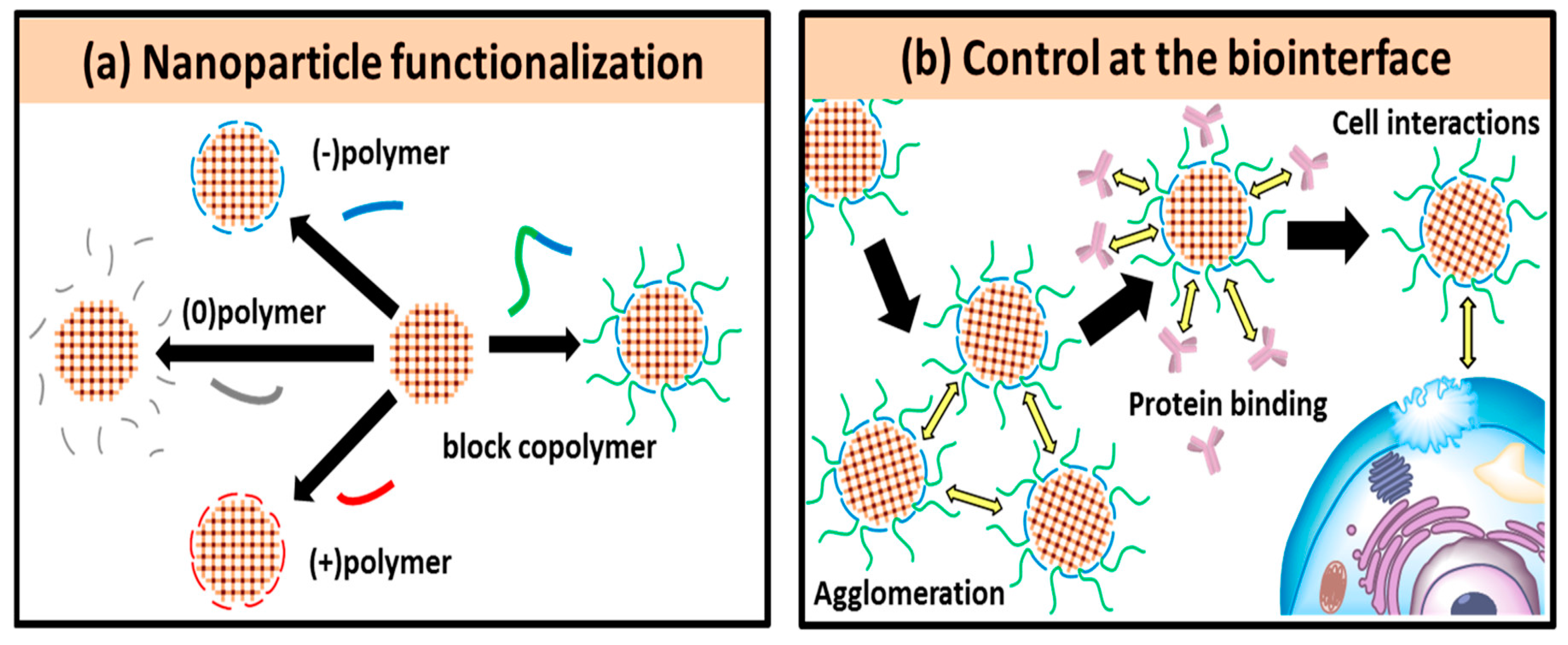 Polymers 11 01627 g002 Polymers 11 01627 g002