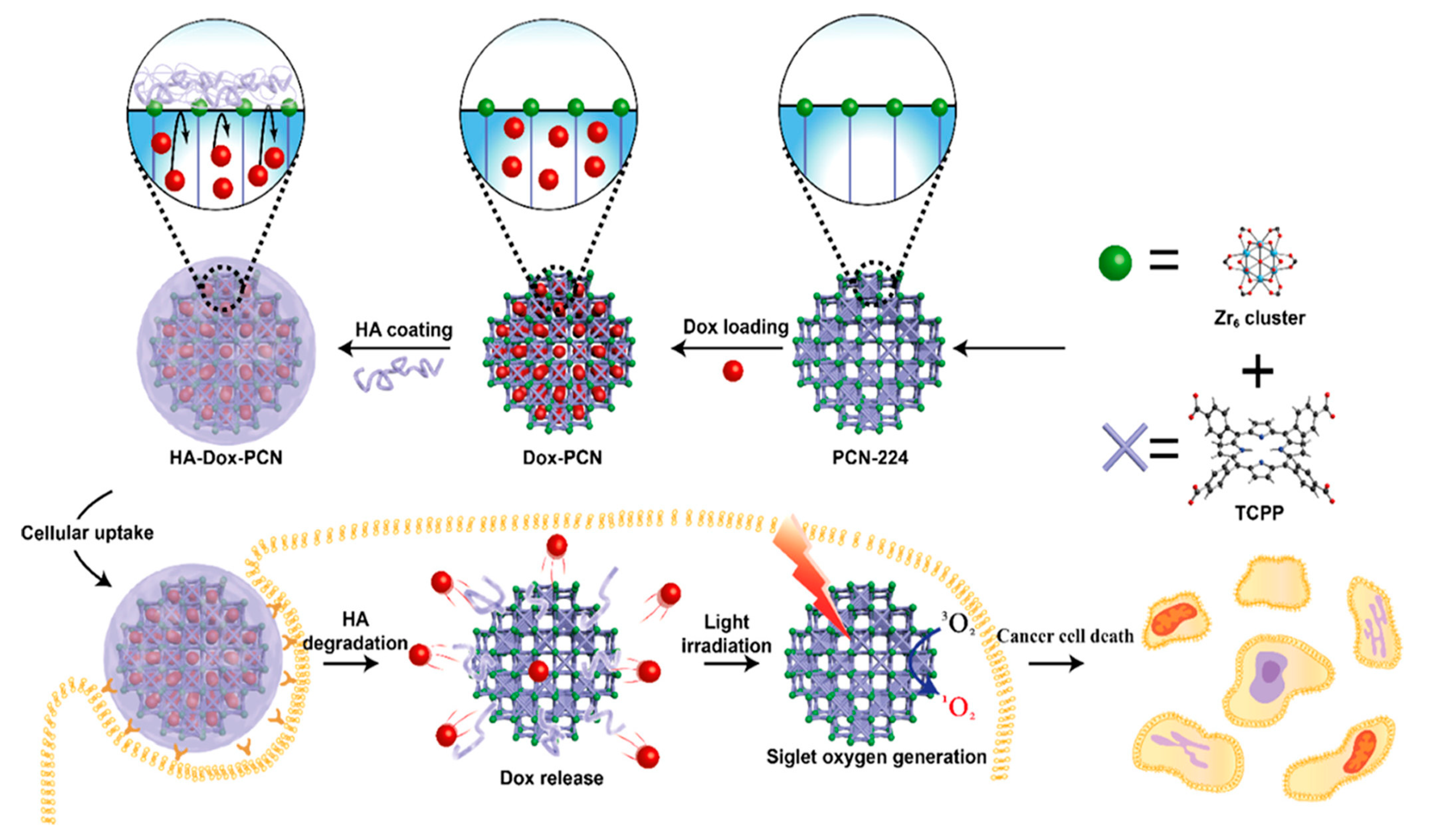 Polymers 11 01627 g004 Polymers 11 01627 g004