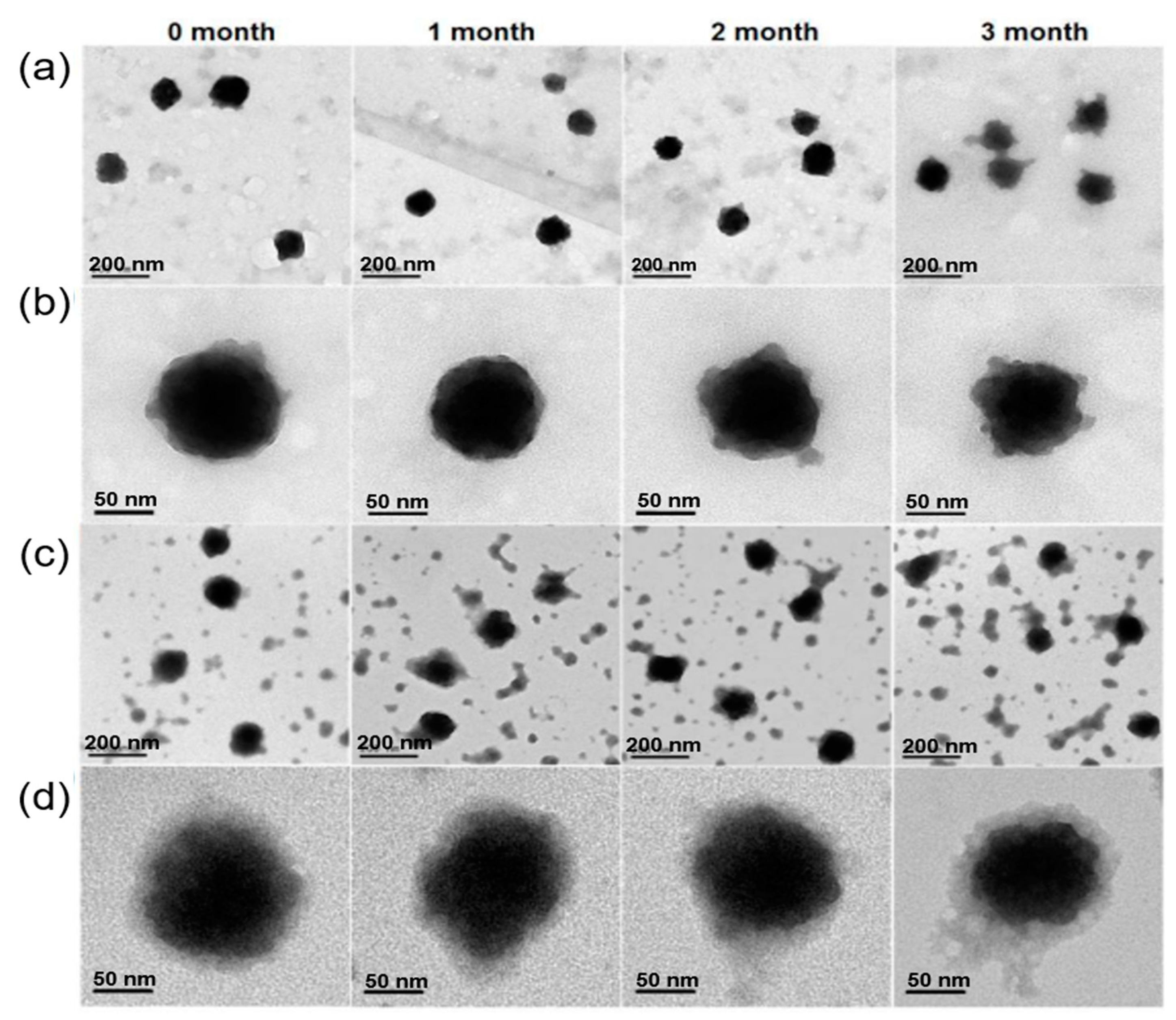 Polymers 11 01627 g005 Polymers 11 01627 g005