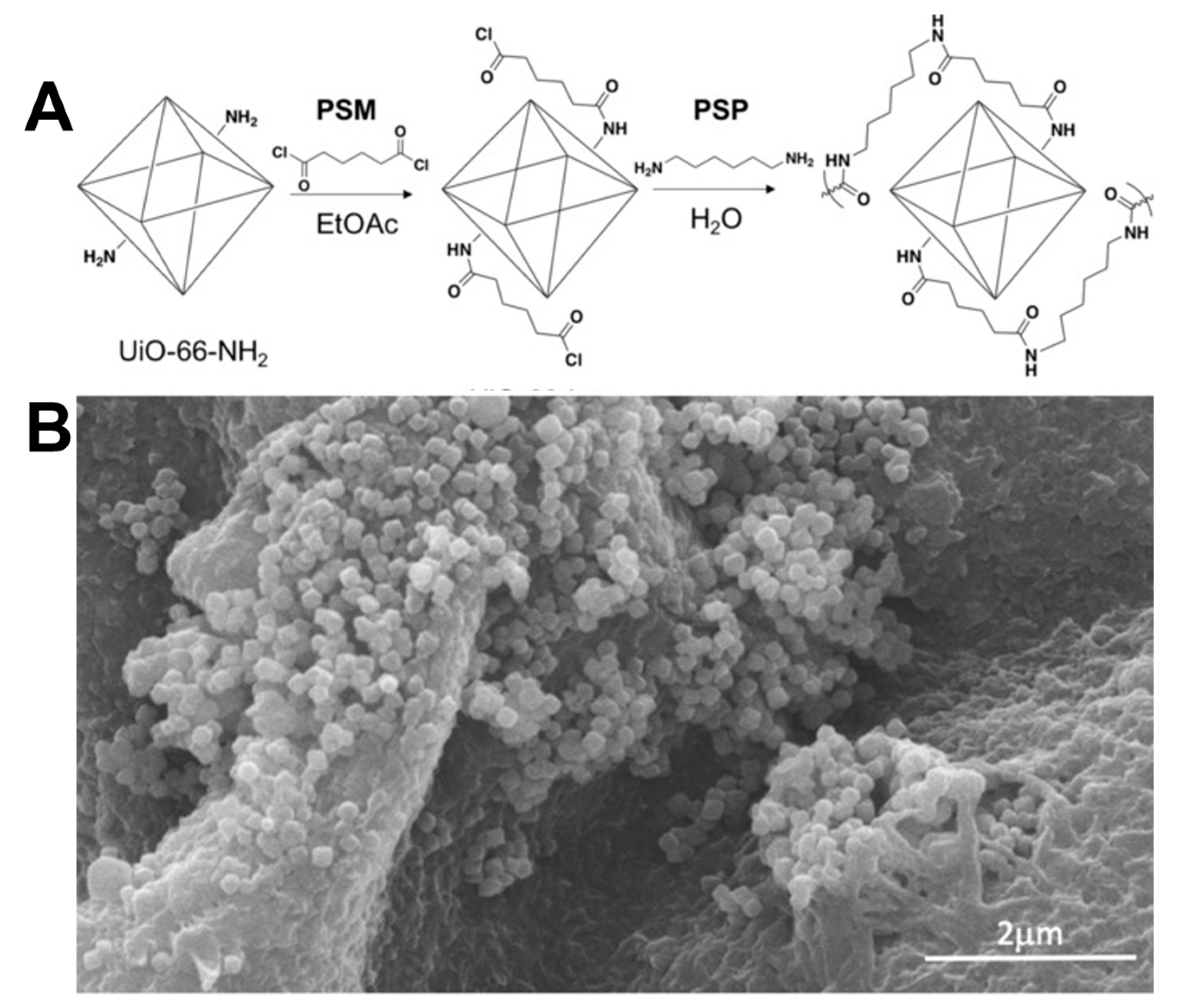 Polymers 11 01627 g012 Polymers 11 01627 g012