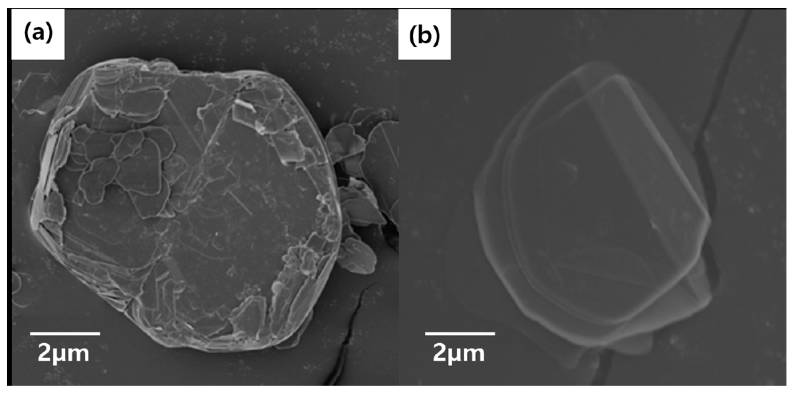 Polymers 11 01628 g003