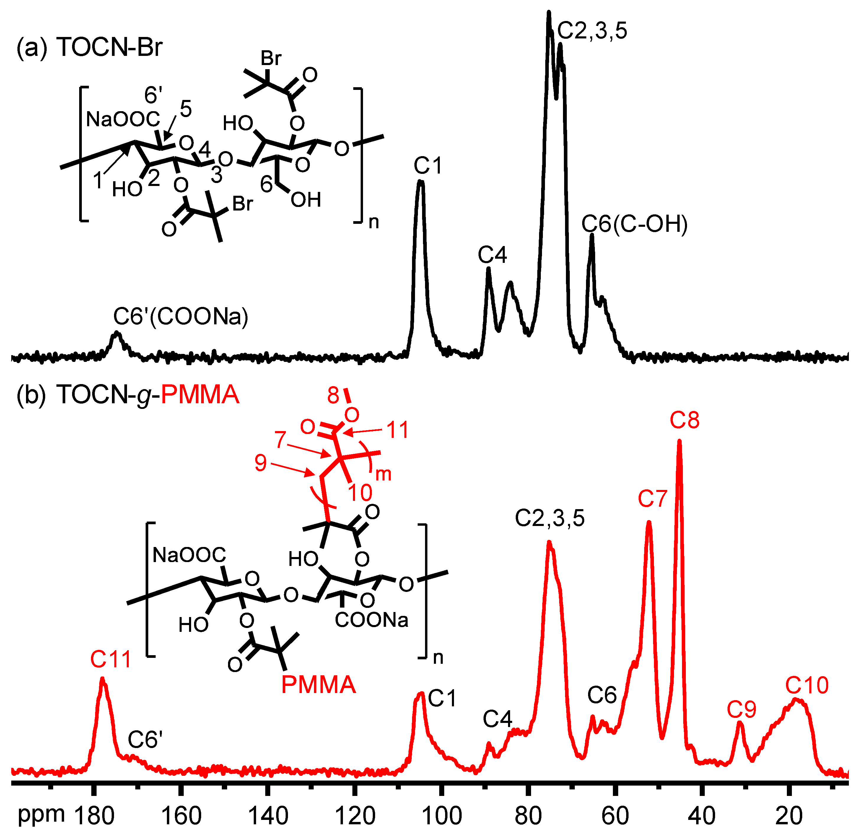 Polymers 11 01631 g005