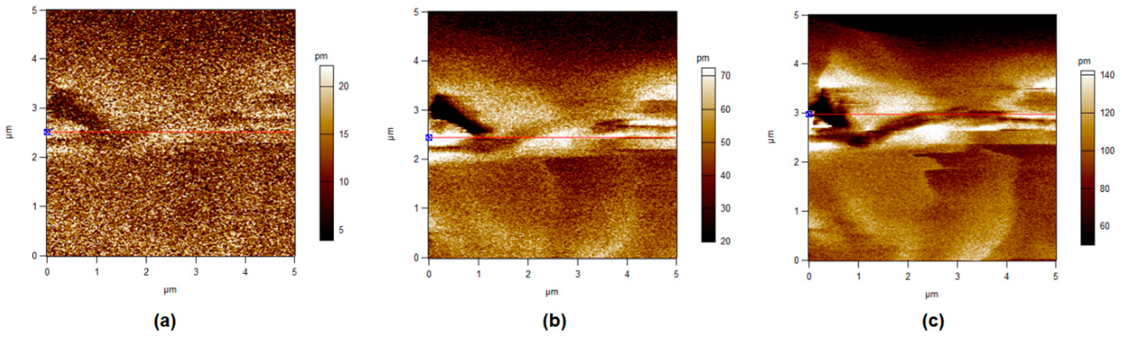 Polymers 11 01634 g009