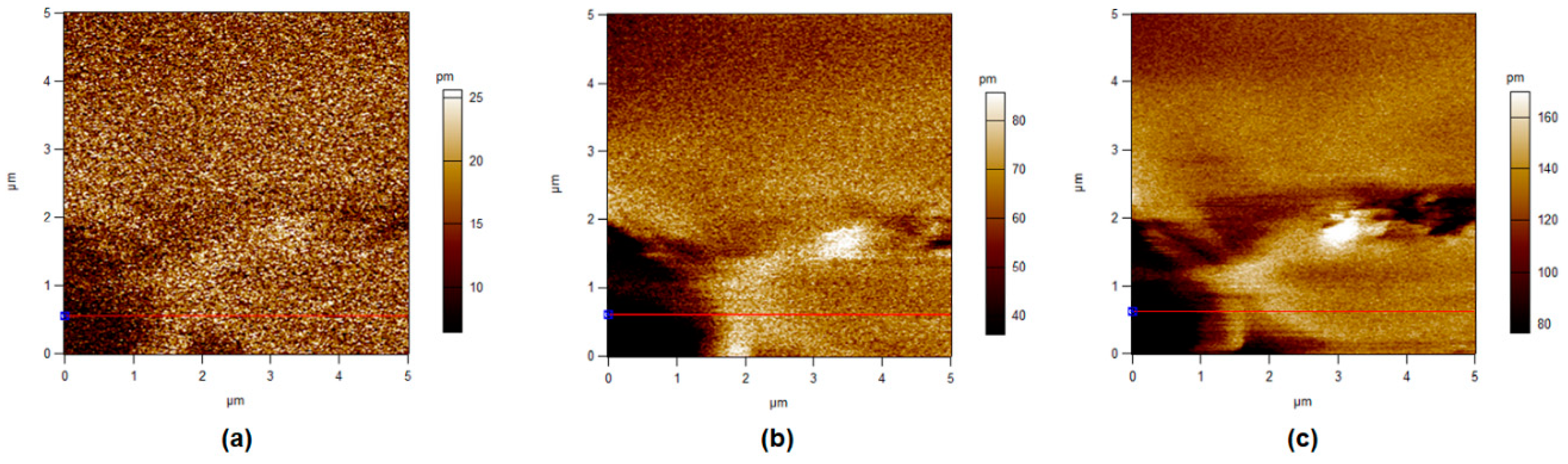 Polymers 11 01634 g011