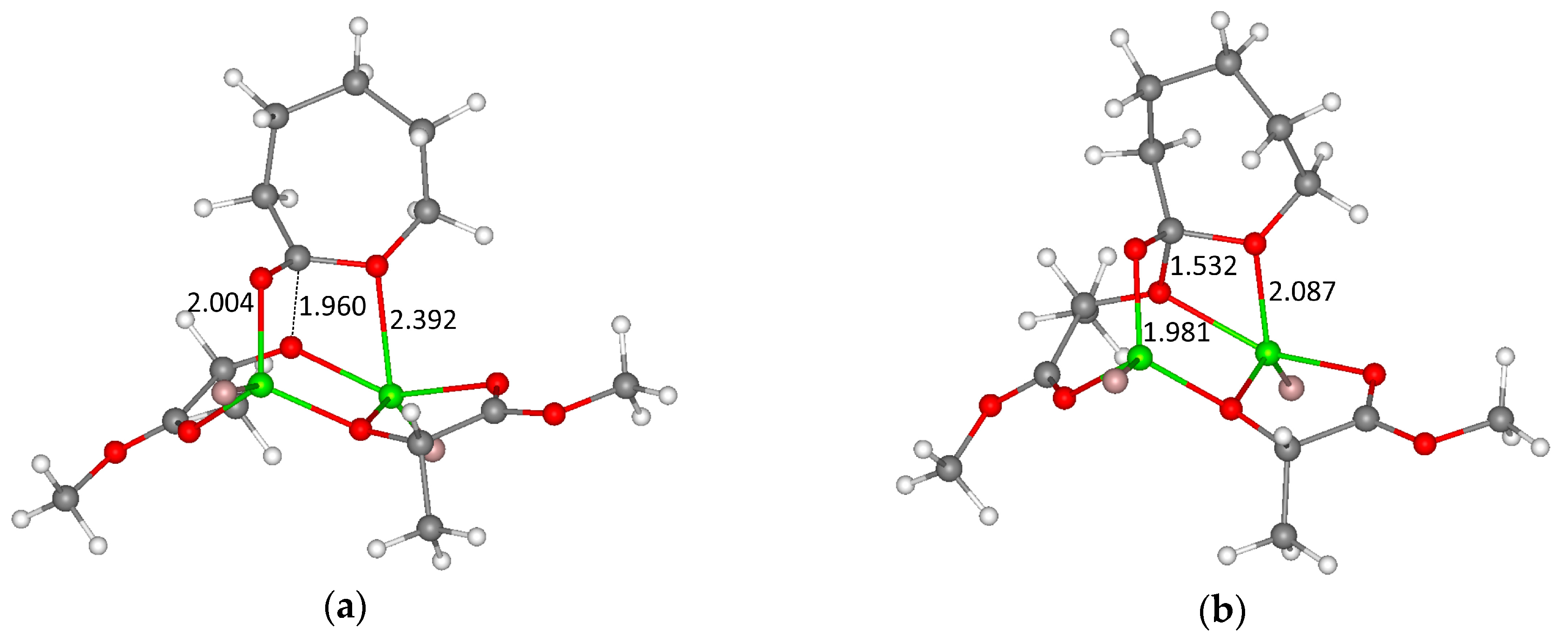 Polymers 11 01641 g001