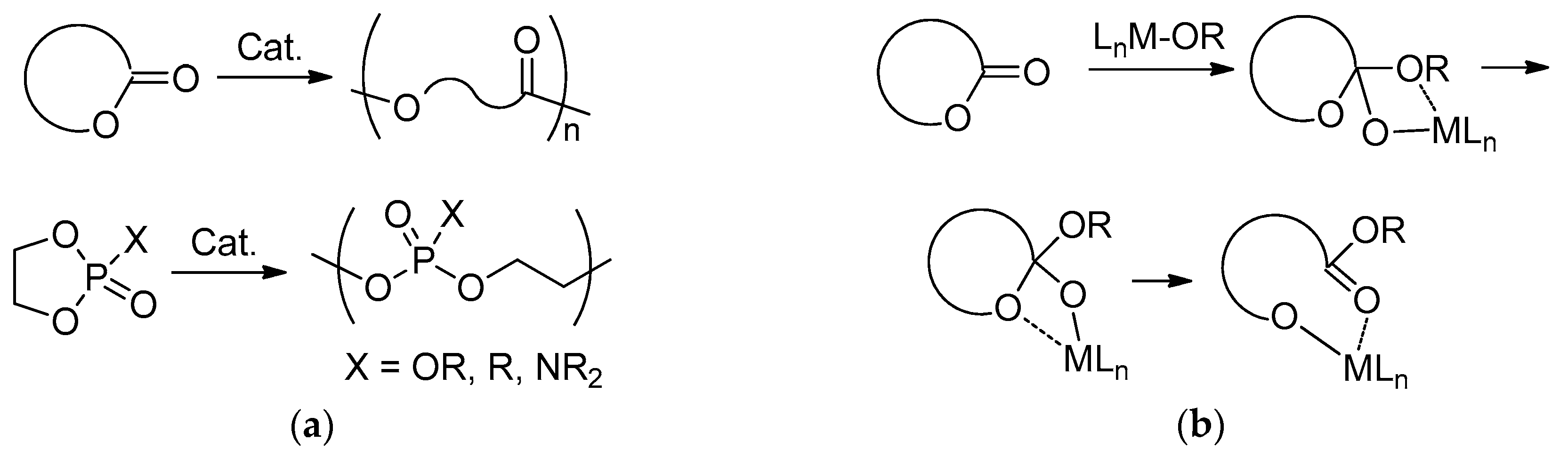 Polymers 11 01641 sch001