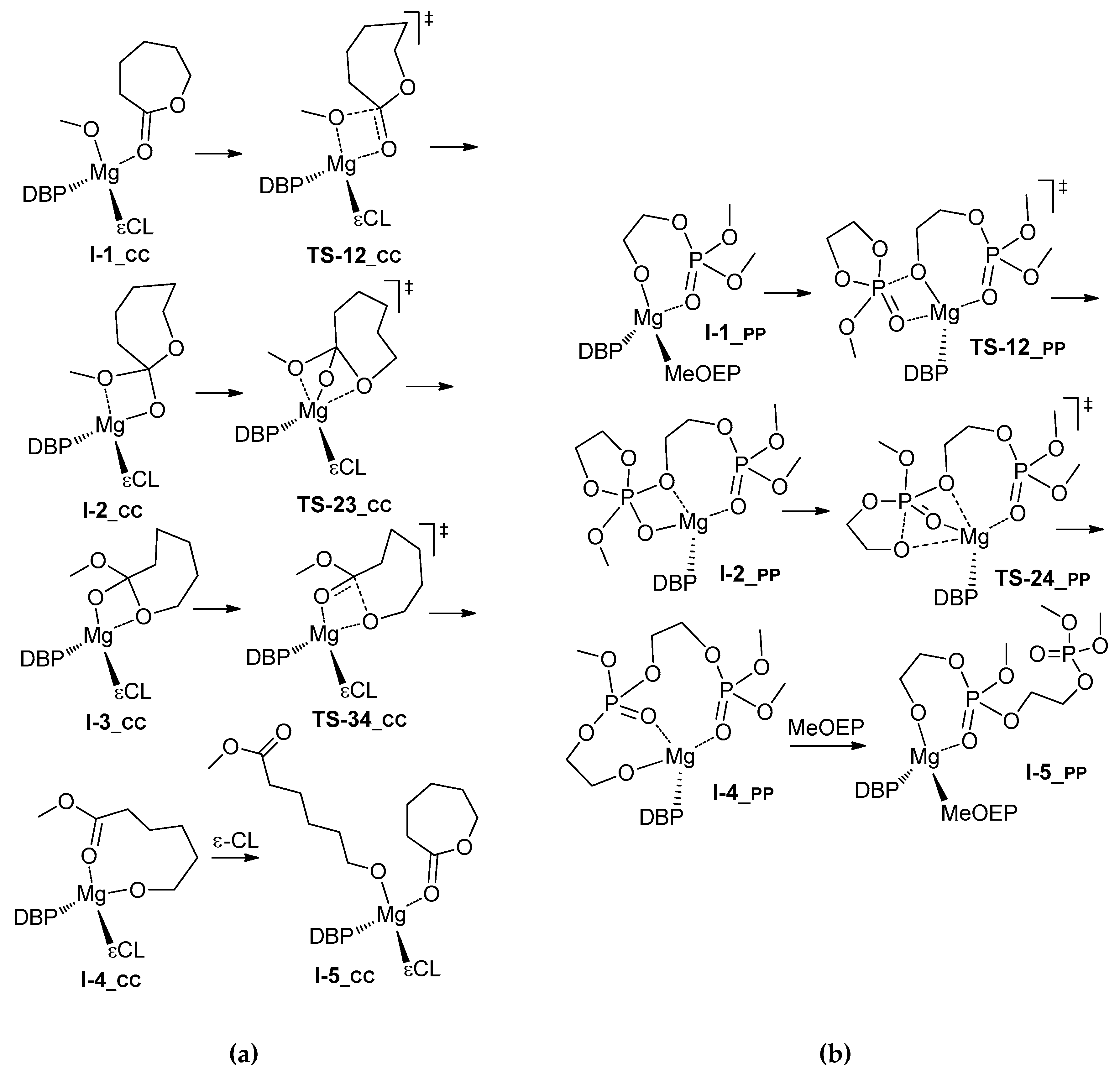 Polymers 11 01641 sch003