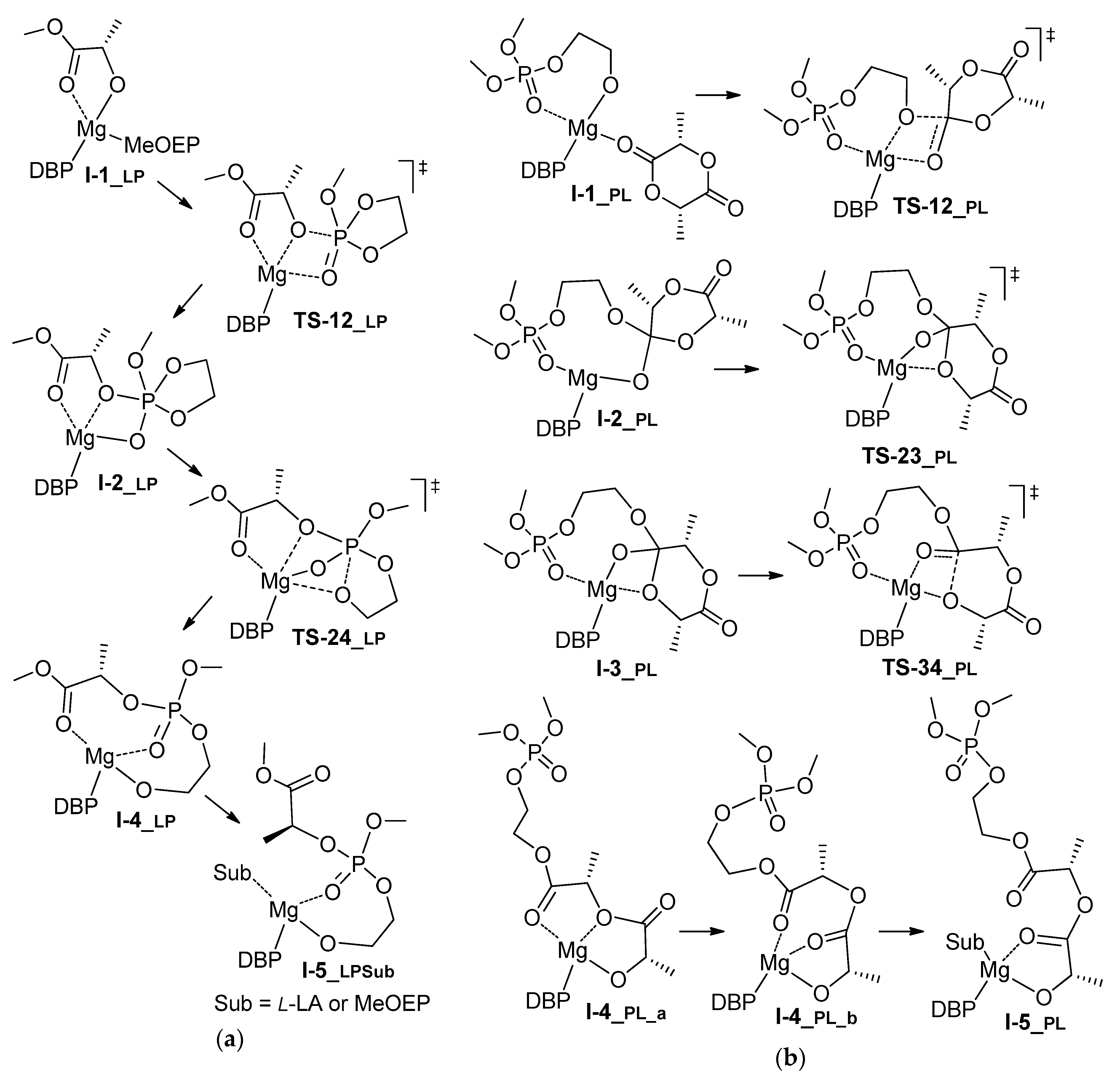 Polymers 11 01641 sch006