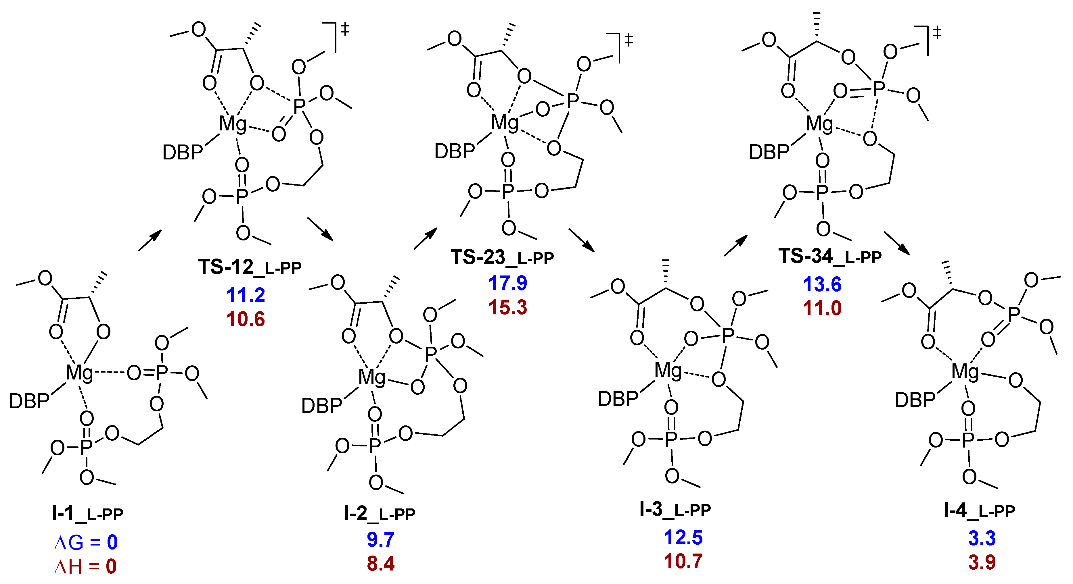 Polymers 11 01641 sch007