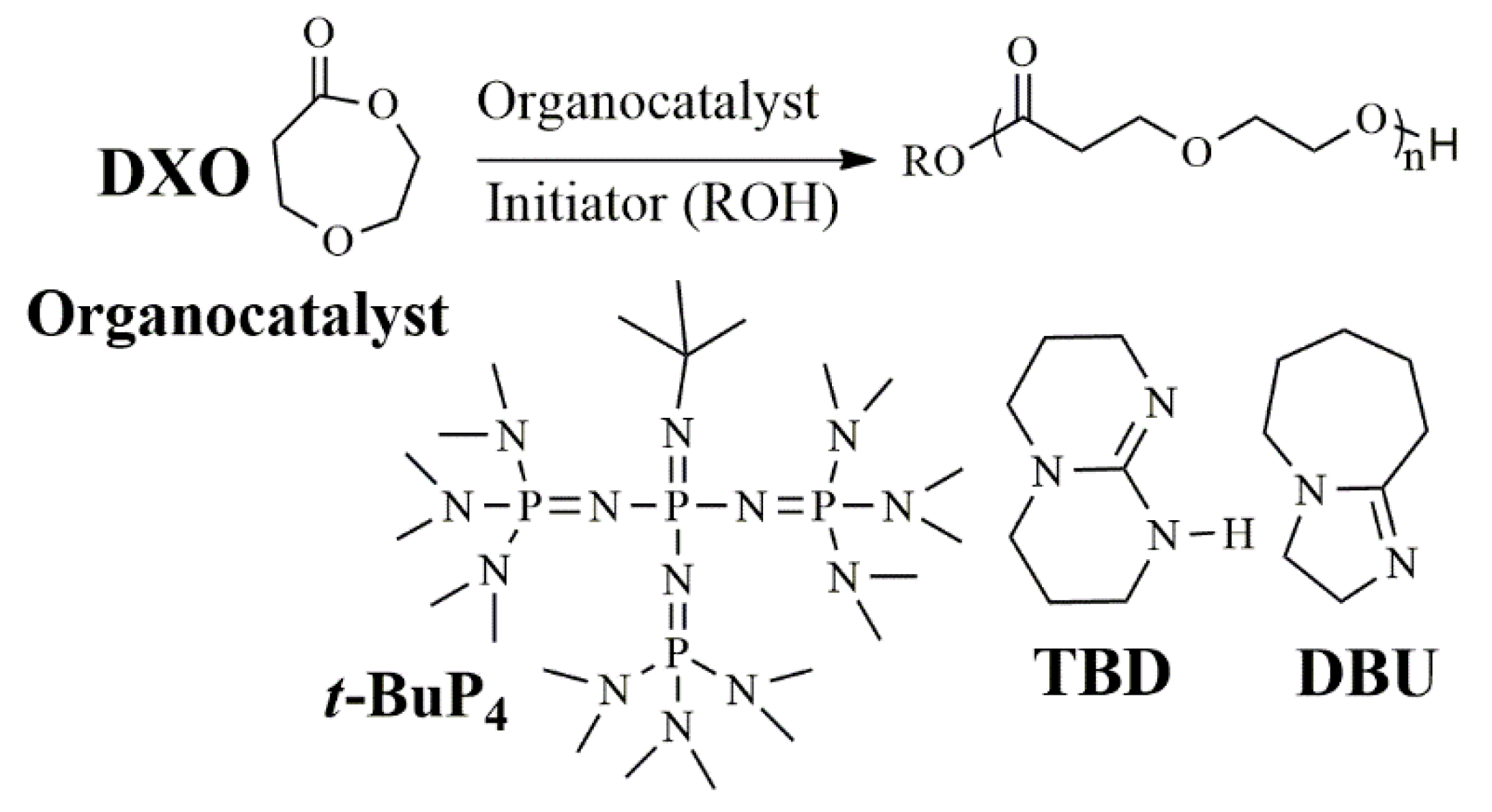 Polymers 11 01642 sch001
