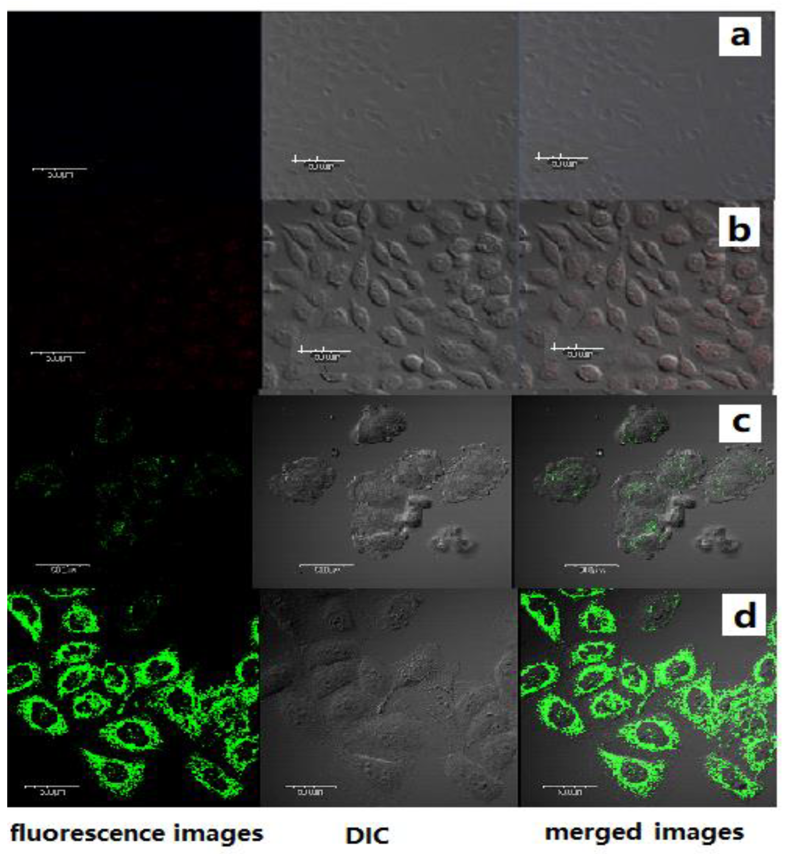 Polymers 11 01643 g005