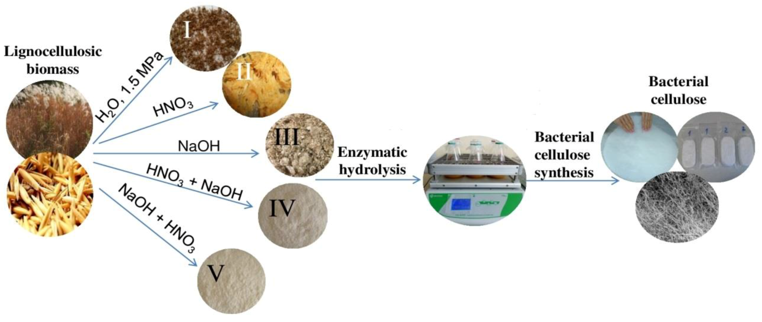 Polymers 11 01645 g001