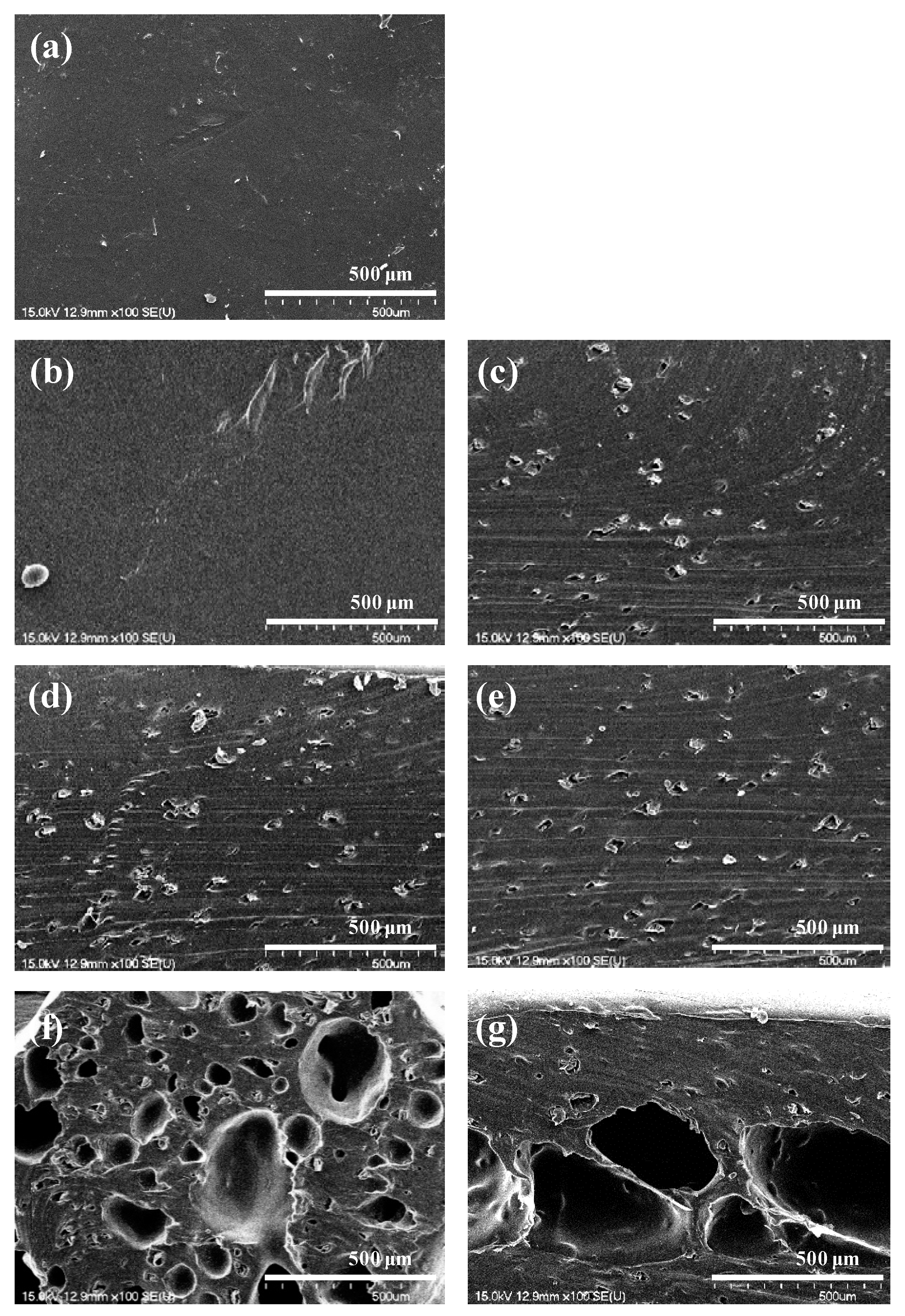Polymers Free Full Text Blowing Properties And Functionality Of Thermoplastic Polyester Film Using Thermally Expandable Microcapsules Html