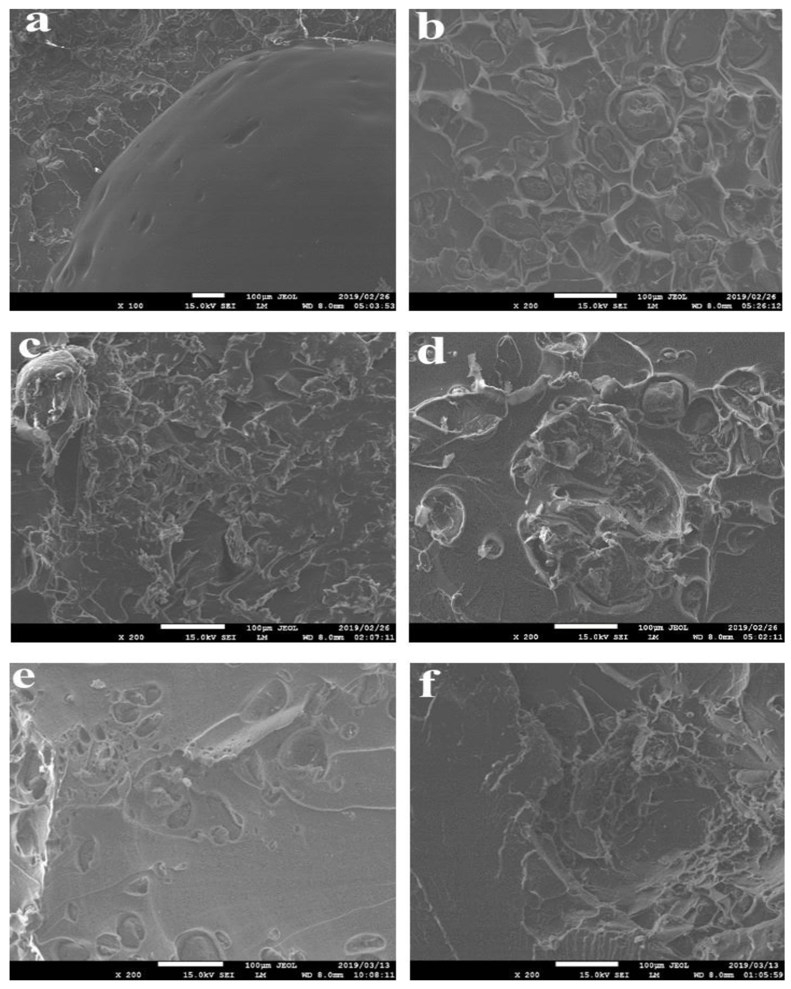 Polymers 11 01656 g008 Polymers 11 01656 g008