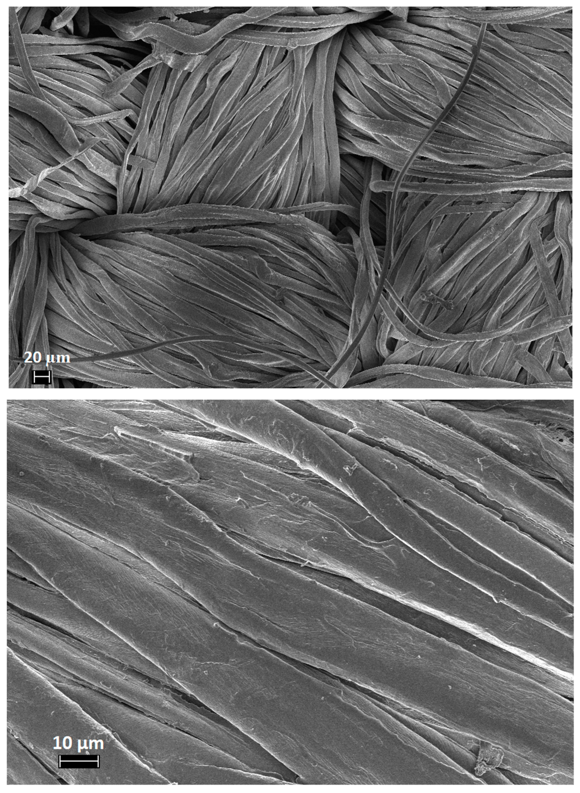 Polymers 11 01664 g005 550